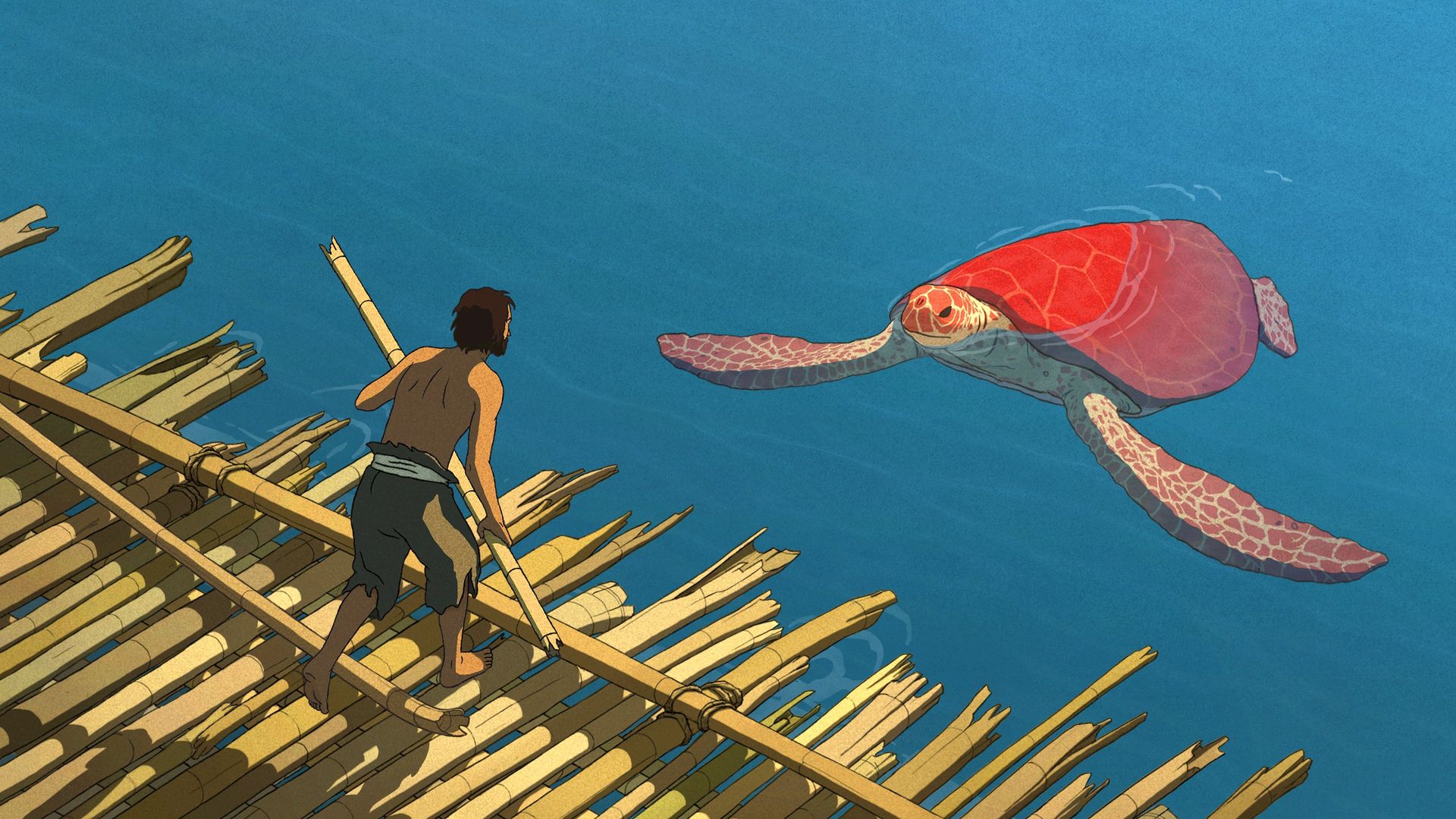 The Red Turtle background