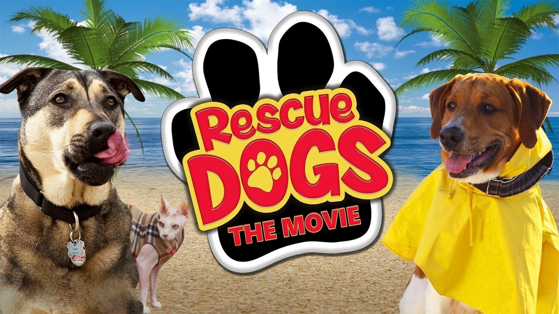 Rescue Dogs background