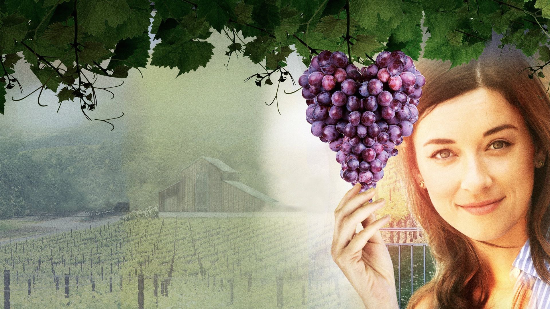 Love on the Vines background