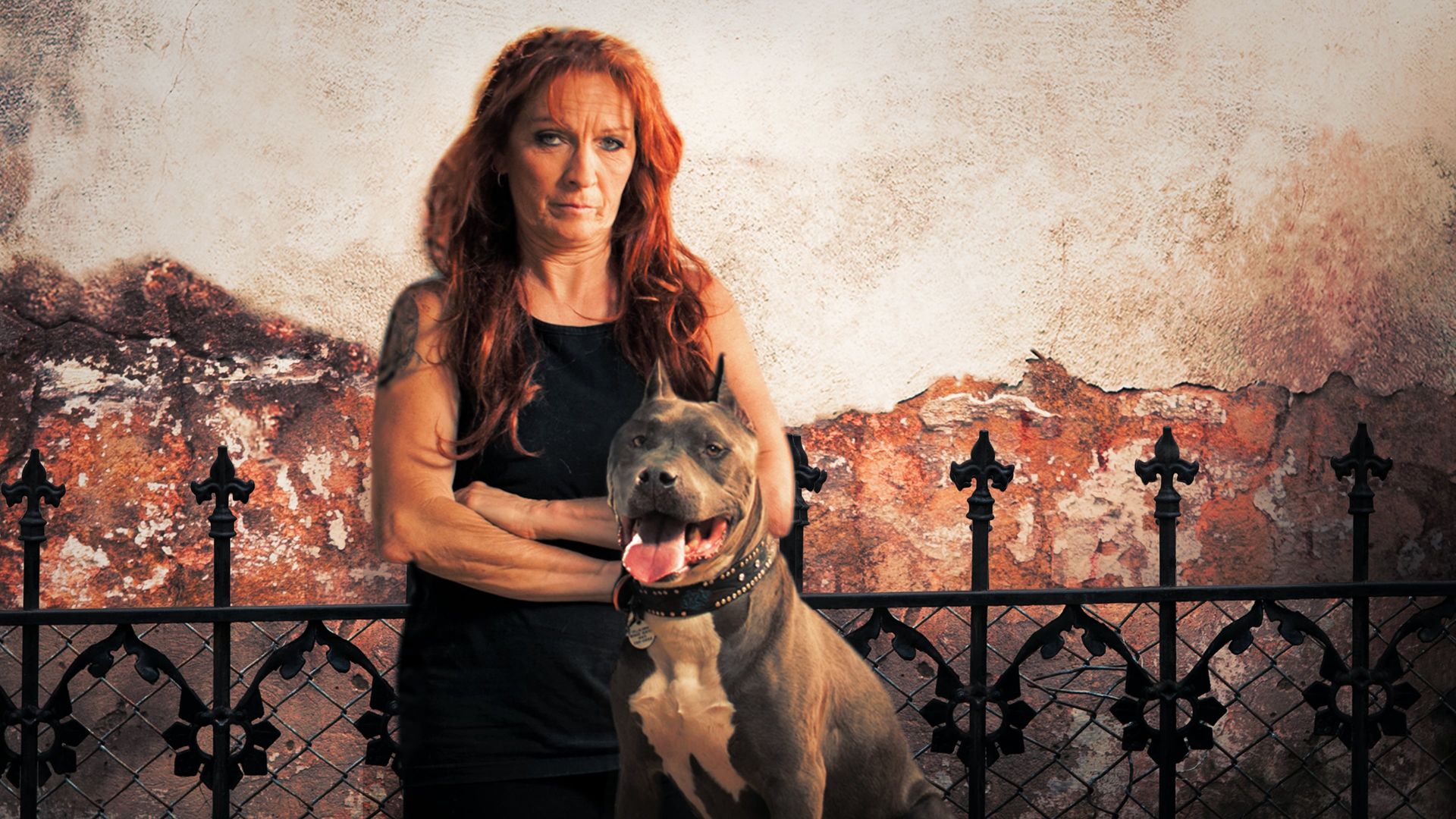 Pit Bulls and Parolees background