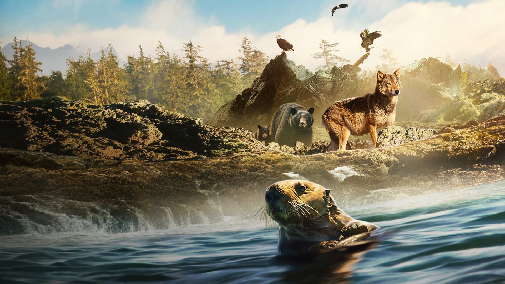 Island of the Sea Wolves background