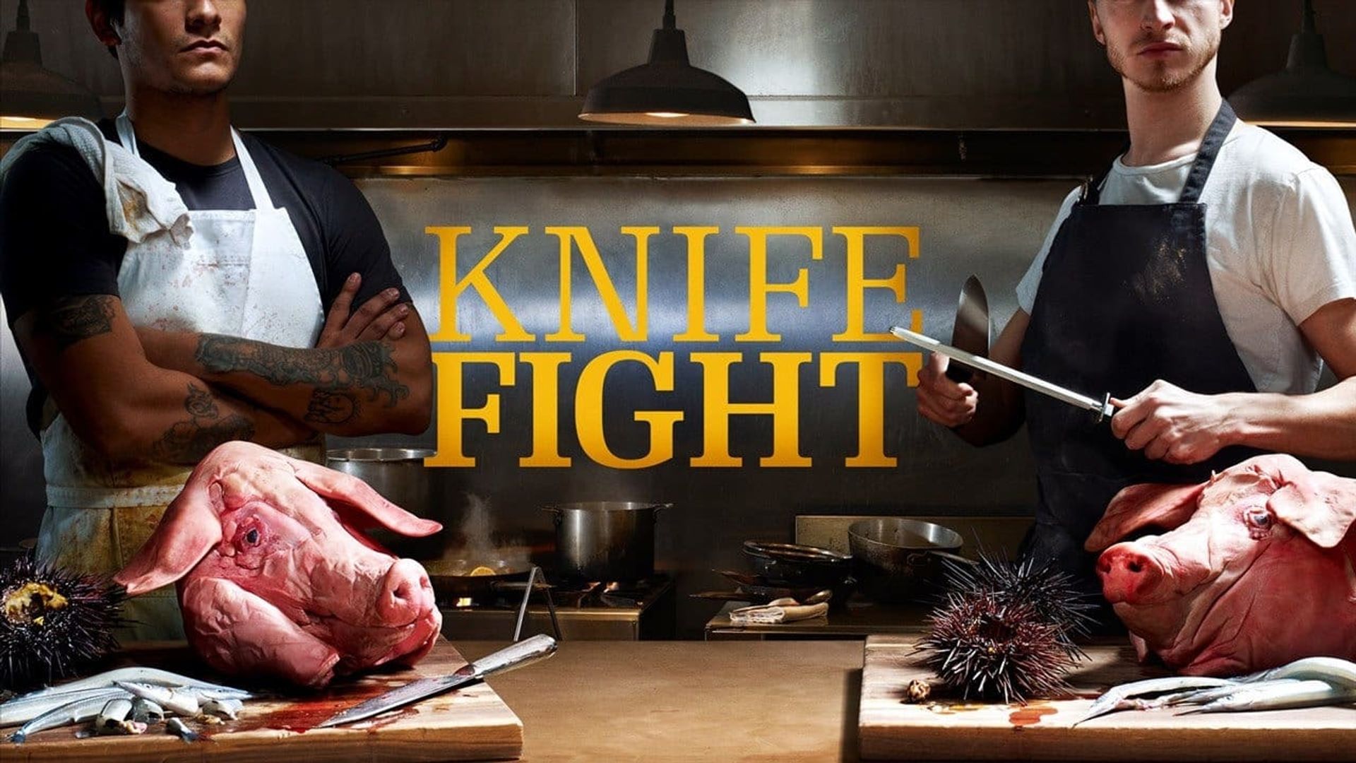 Knife Fight background