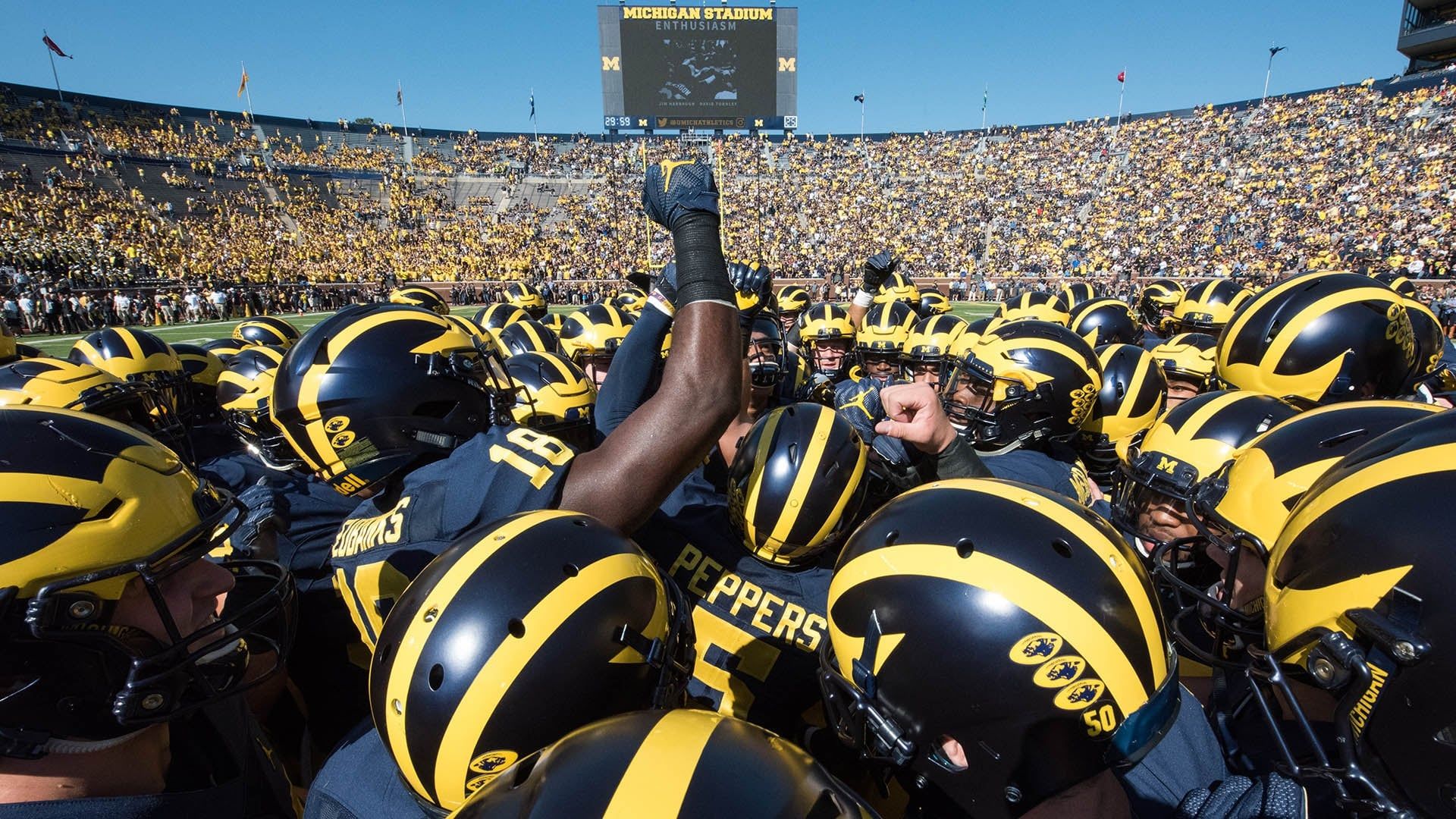 All or Nothing: The Michigan Wolverines background
