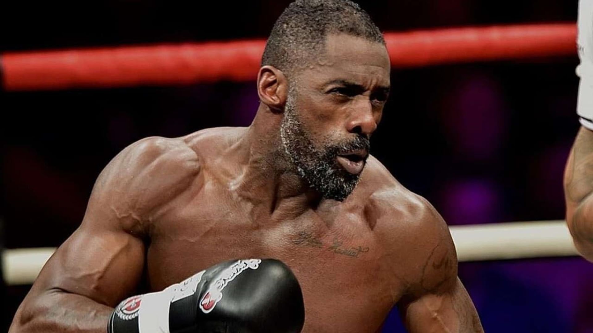 Idris Elba: Fighter background