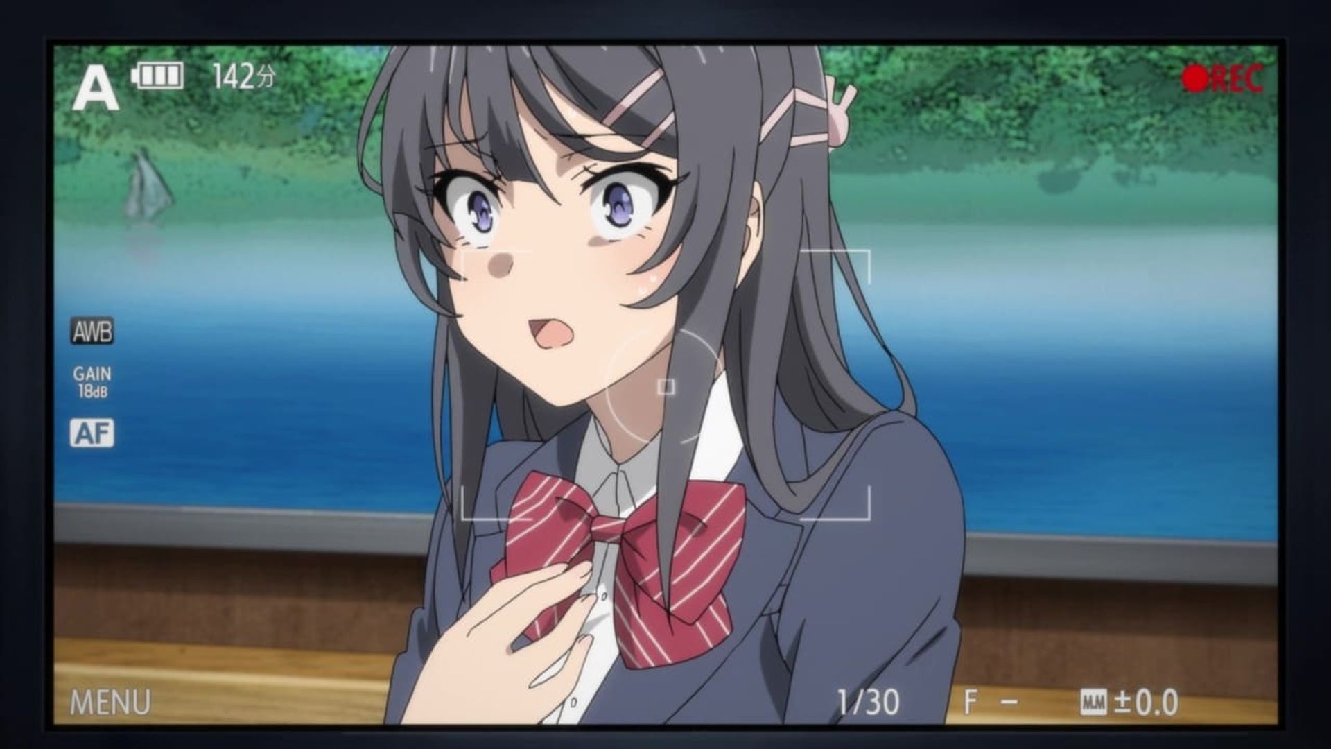 Rascal Does Not Dream of Bunny Girl Senpai background