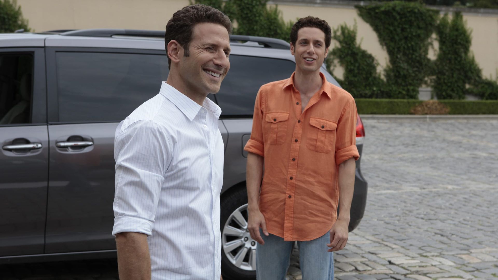 Royal Pains background