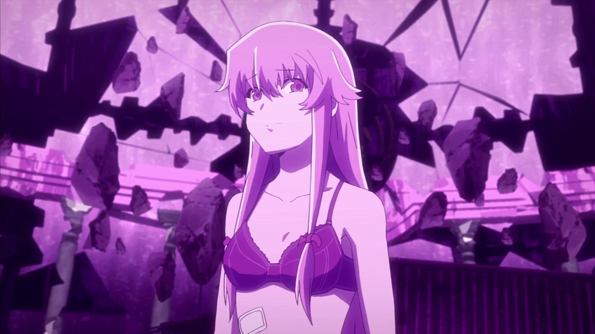The Future Diary background