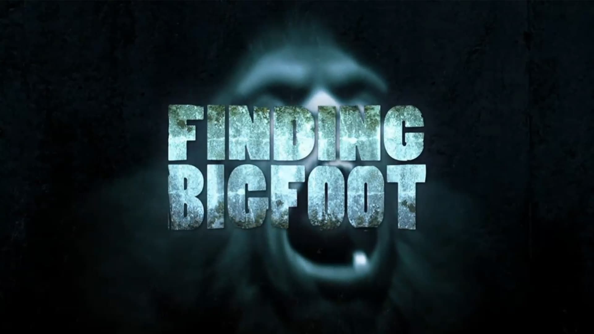 Finding Bigfoot background