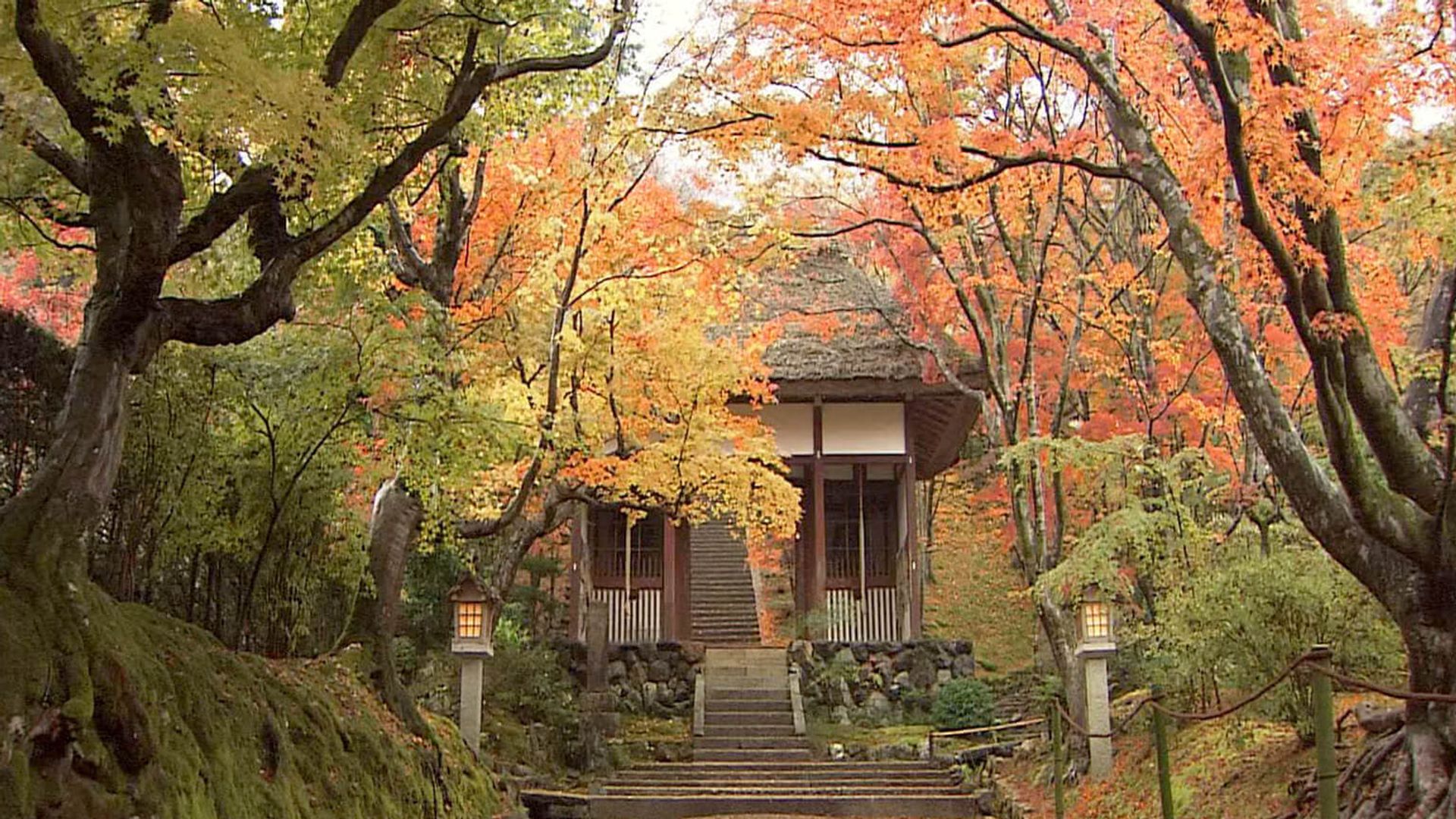 Core Kyoto background