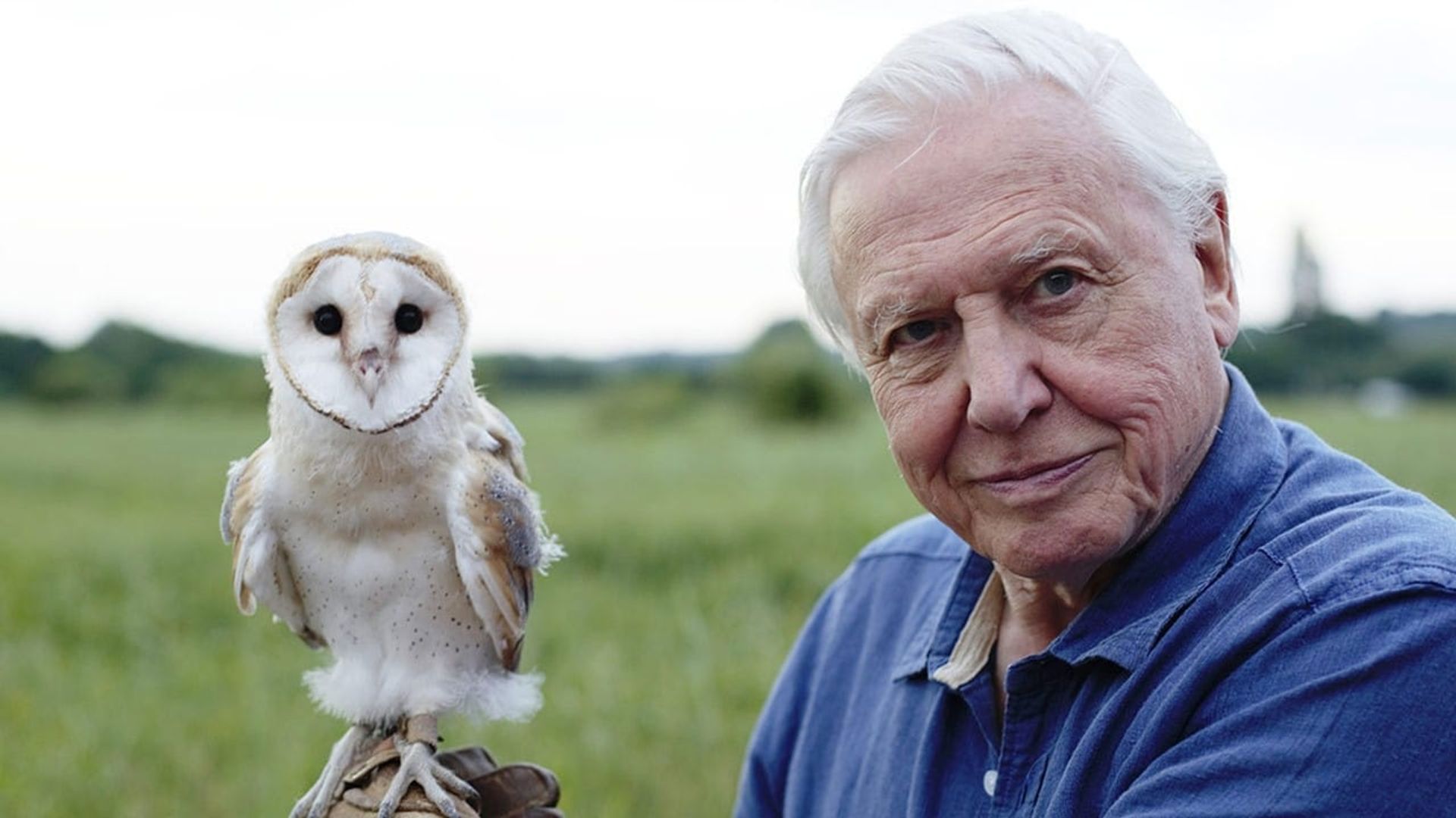 David Attenborough's Conquest of the Skies 3D background