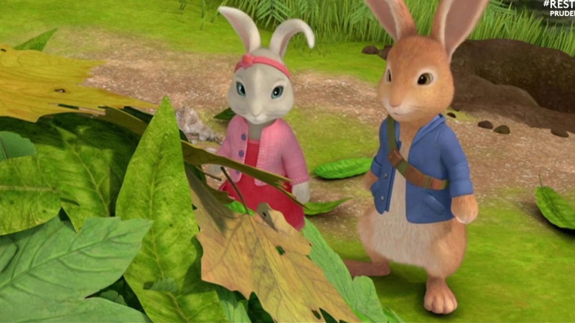 Peter Rabbit background