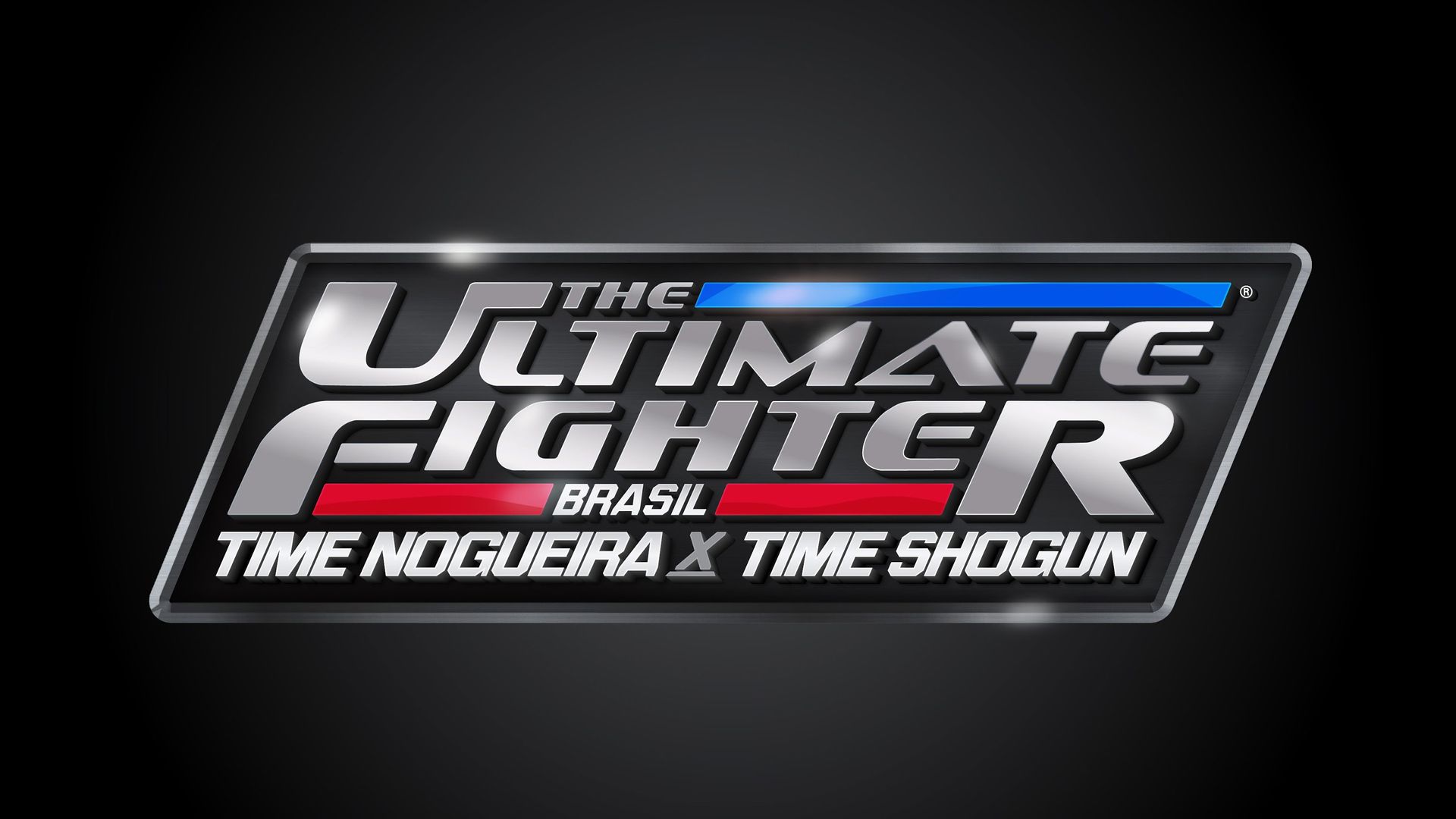 The Ultimate Fighter: Brazil background