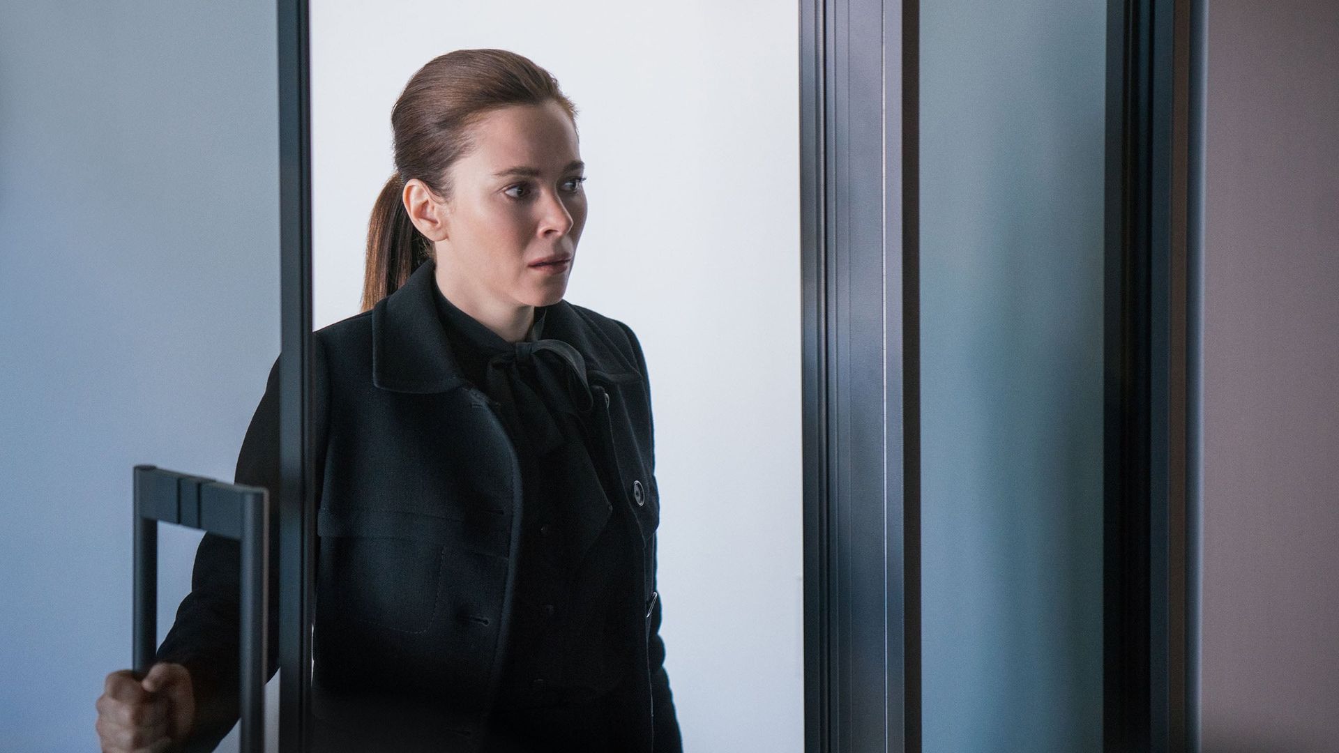 The Girlfriend Experience background