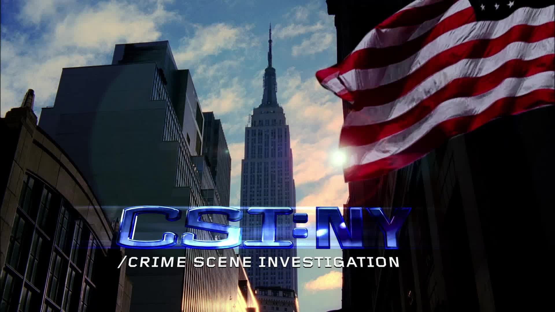 CSI: NY background