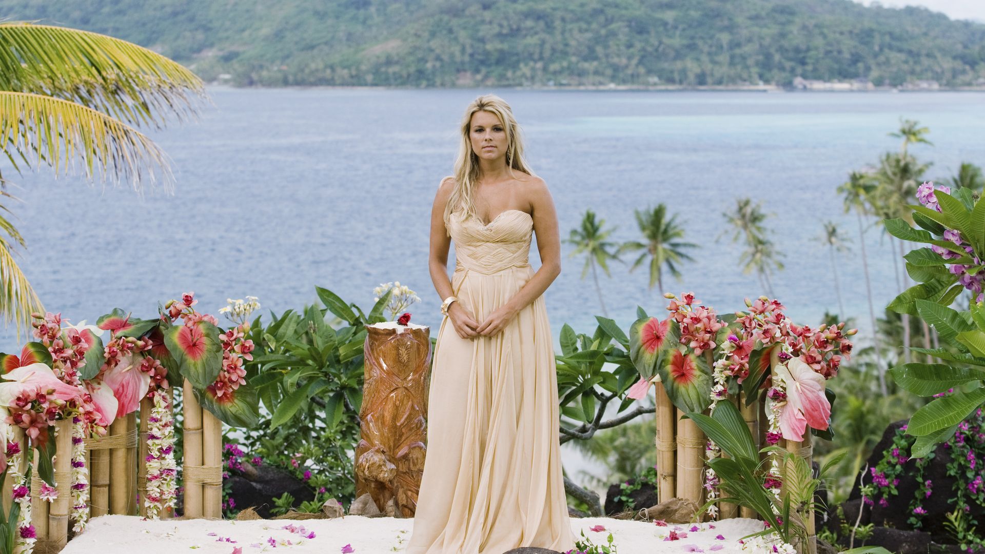 The Bachelor: The Greatest Seasons - Ever! background