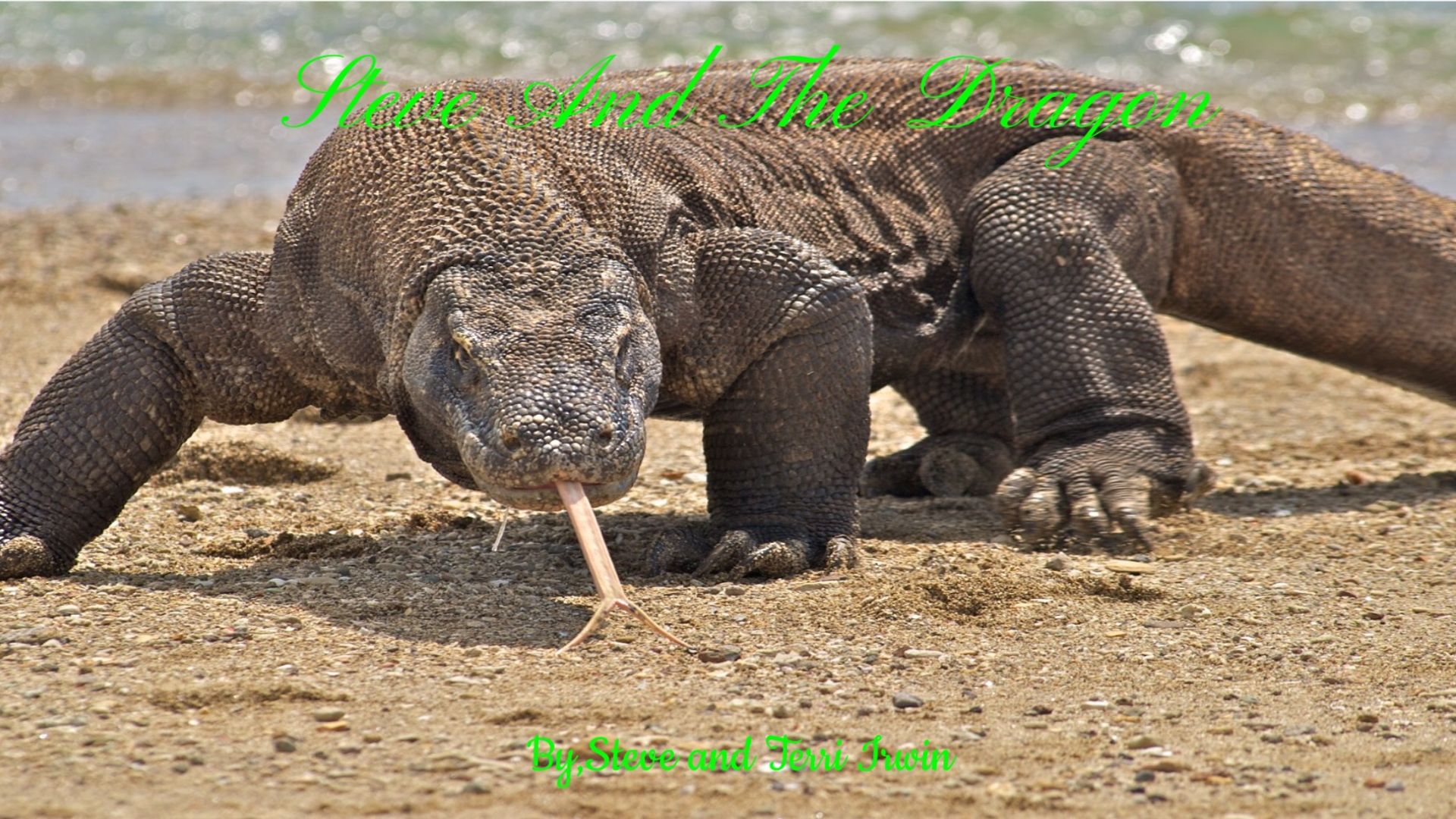 The Crocodile Hunter background