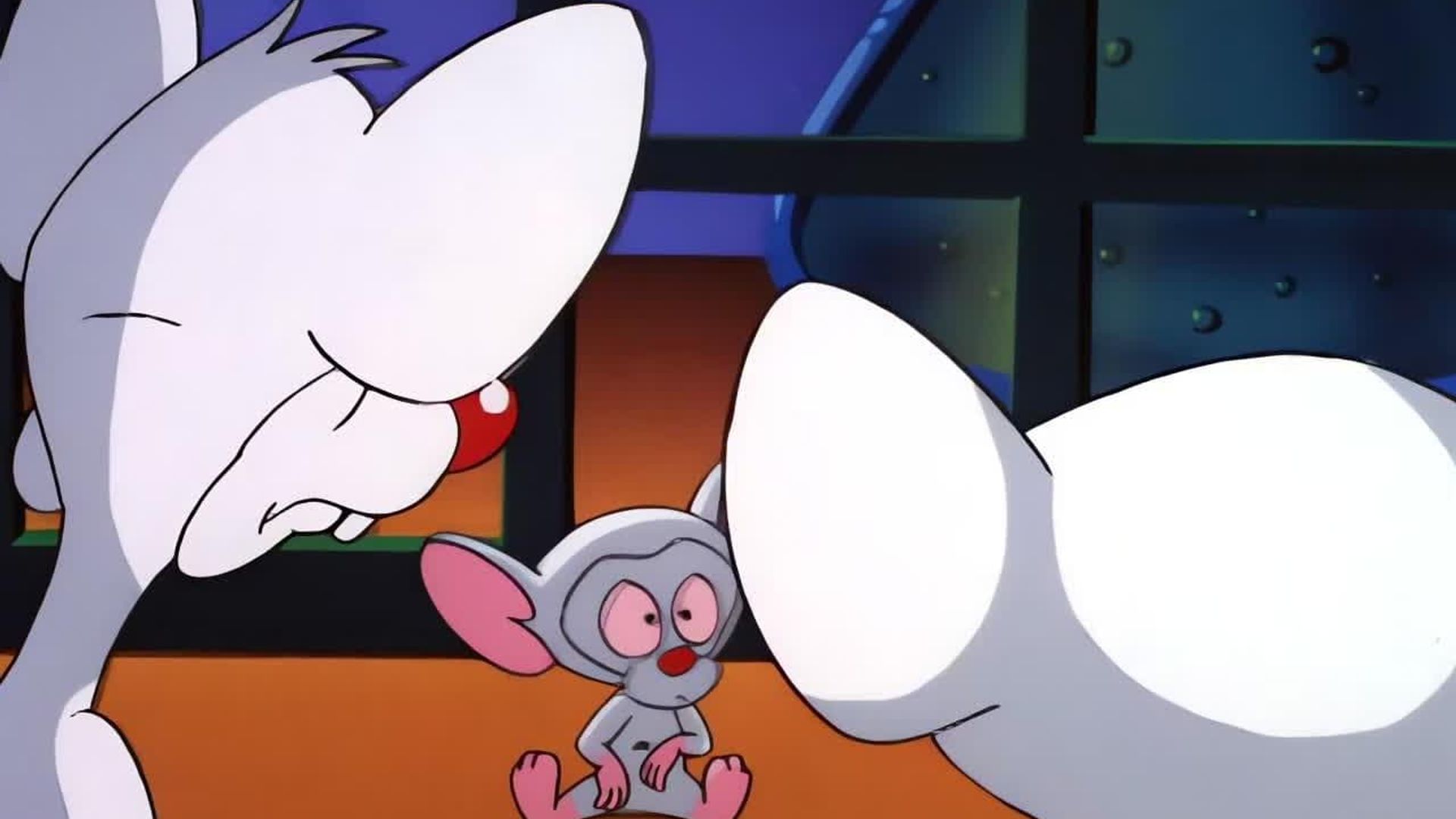 Pinky and the Brain background