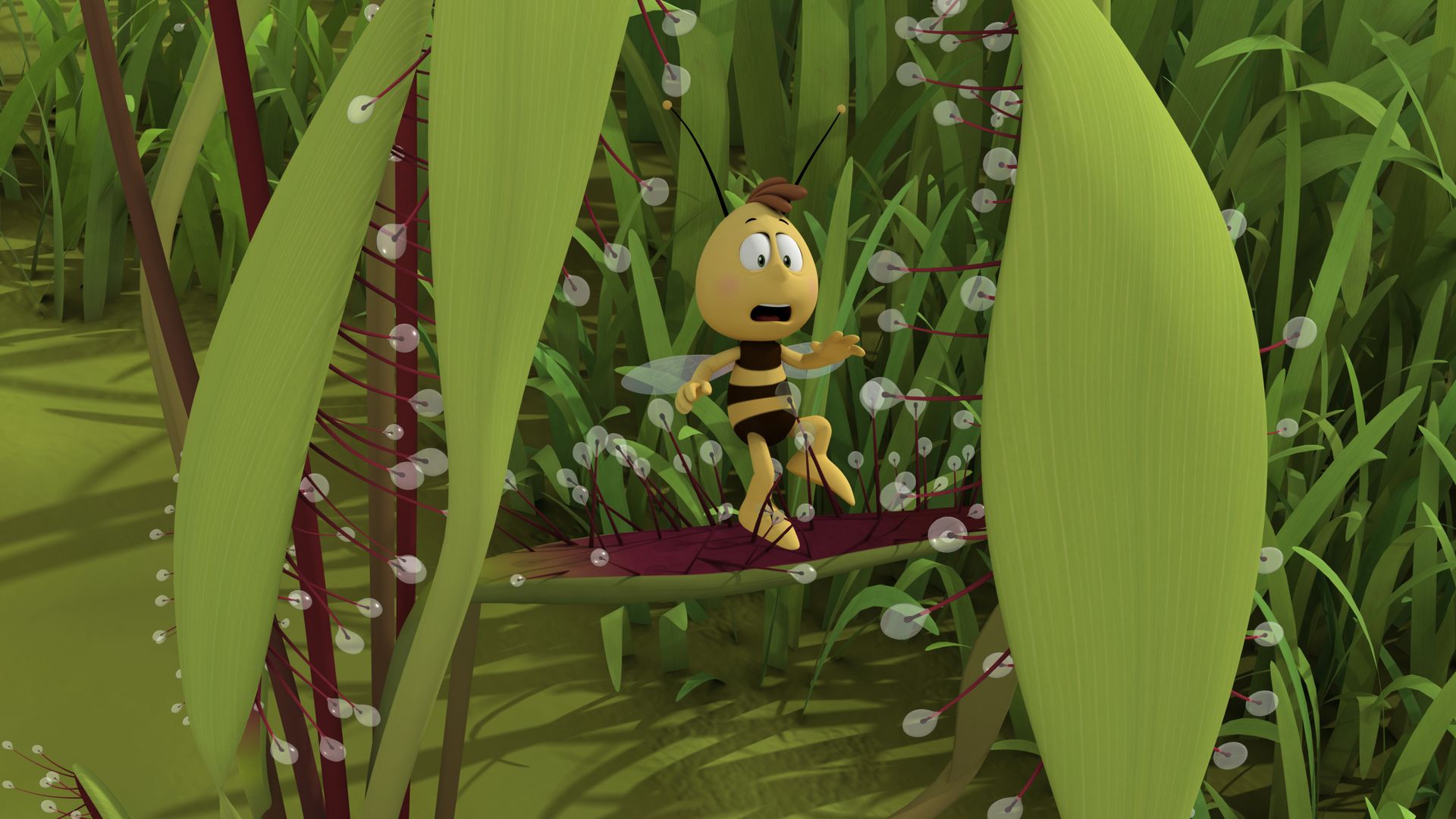 Maya the Bee background