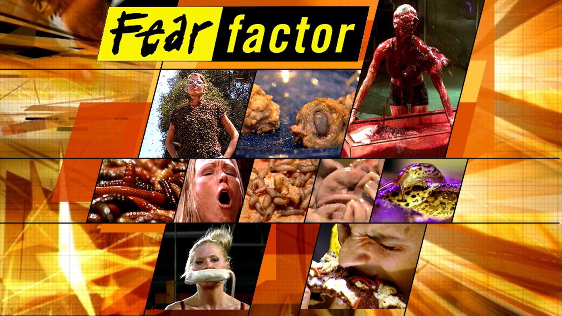 Fear Factor background