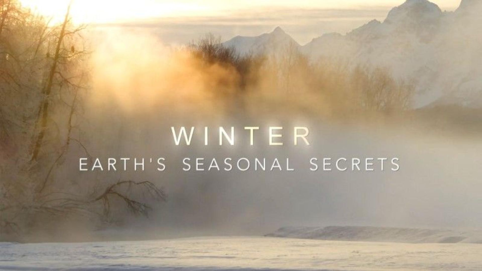 Earth's Seasonal Secrets background