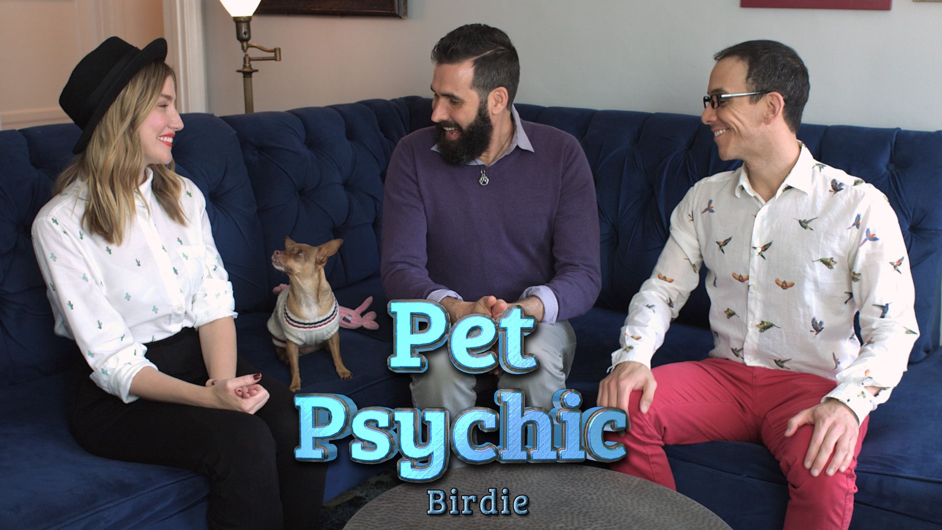 The Pet Psychic background
