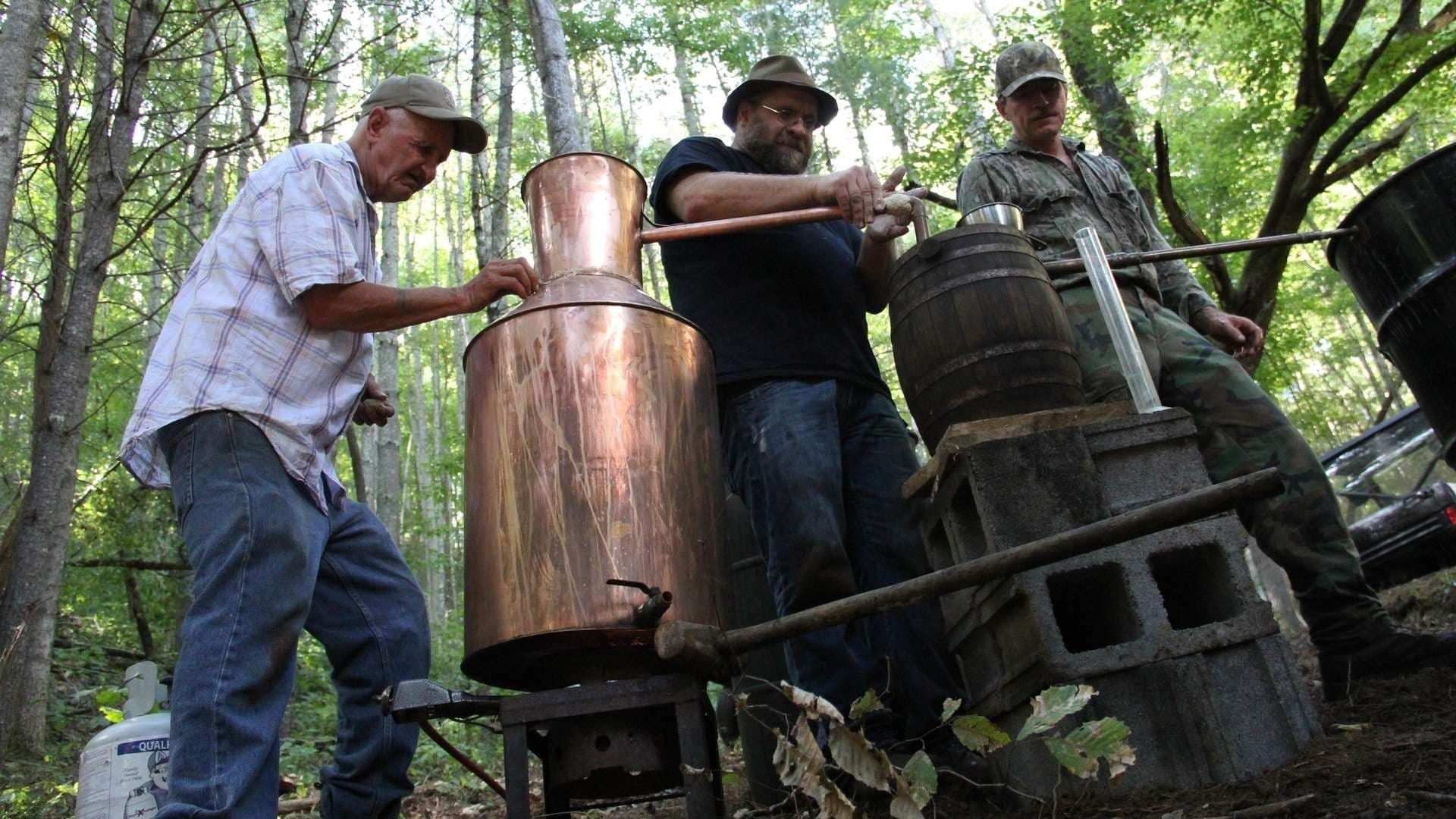 Moonshiners background