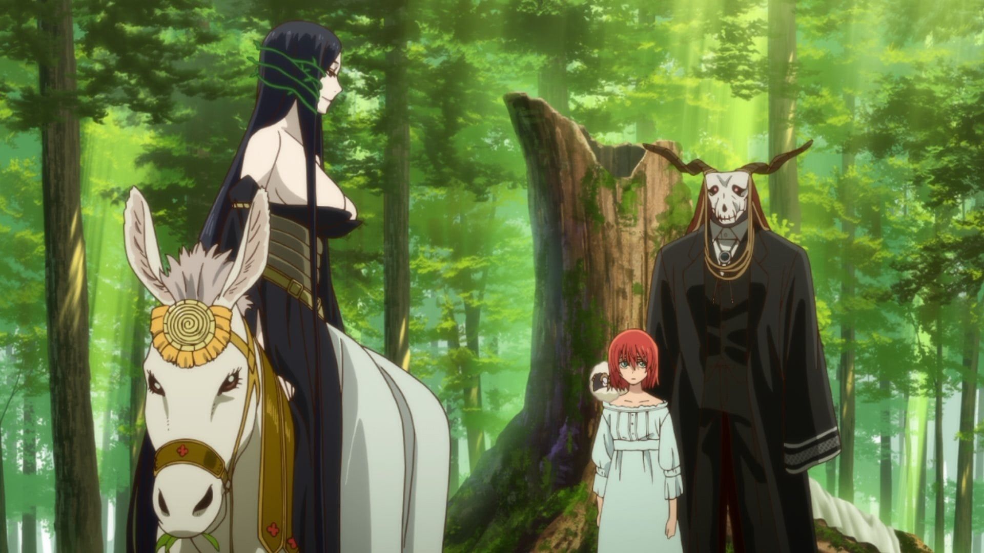 The Ancient Magus' Bride background