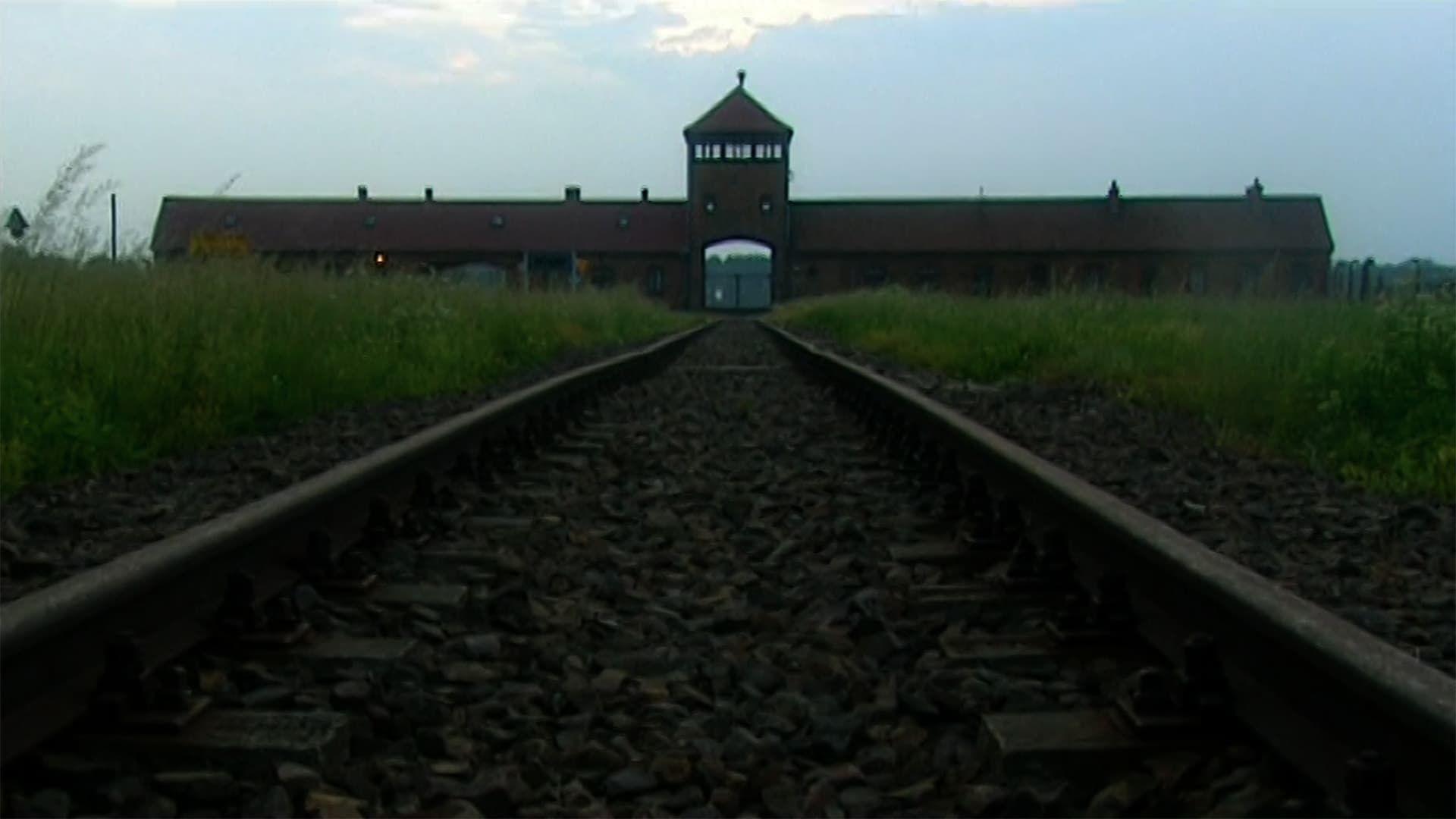 Auschwitz: Inside the Nazi State background