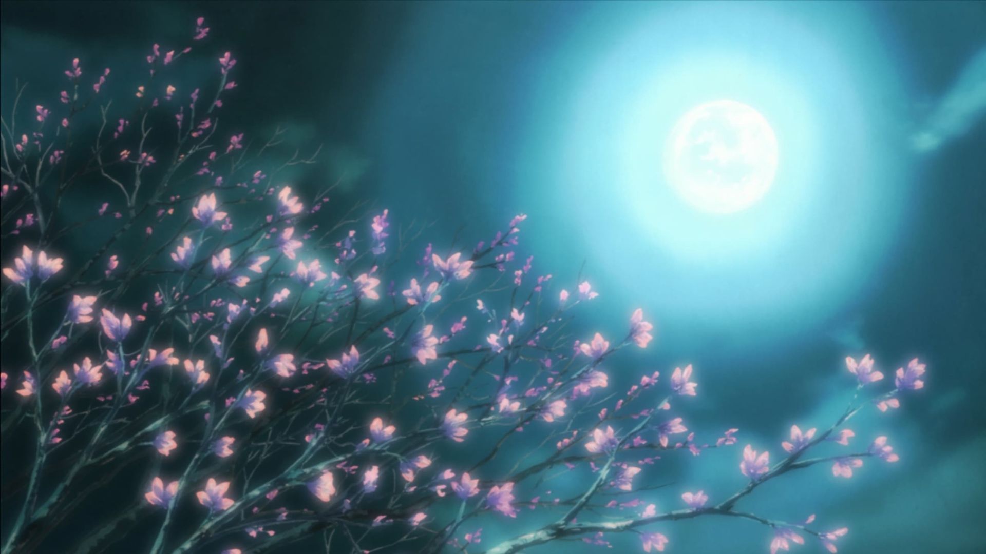 Kobato. background