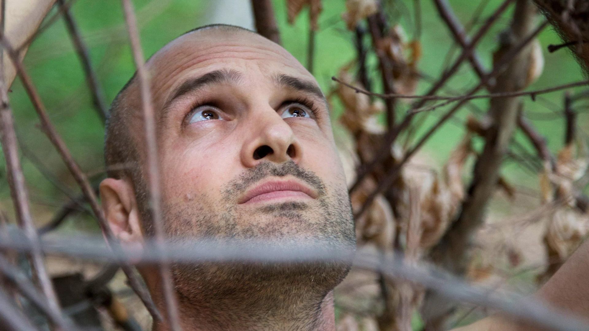 Marooned with Ed Stafford background
