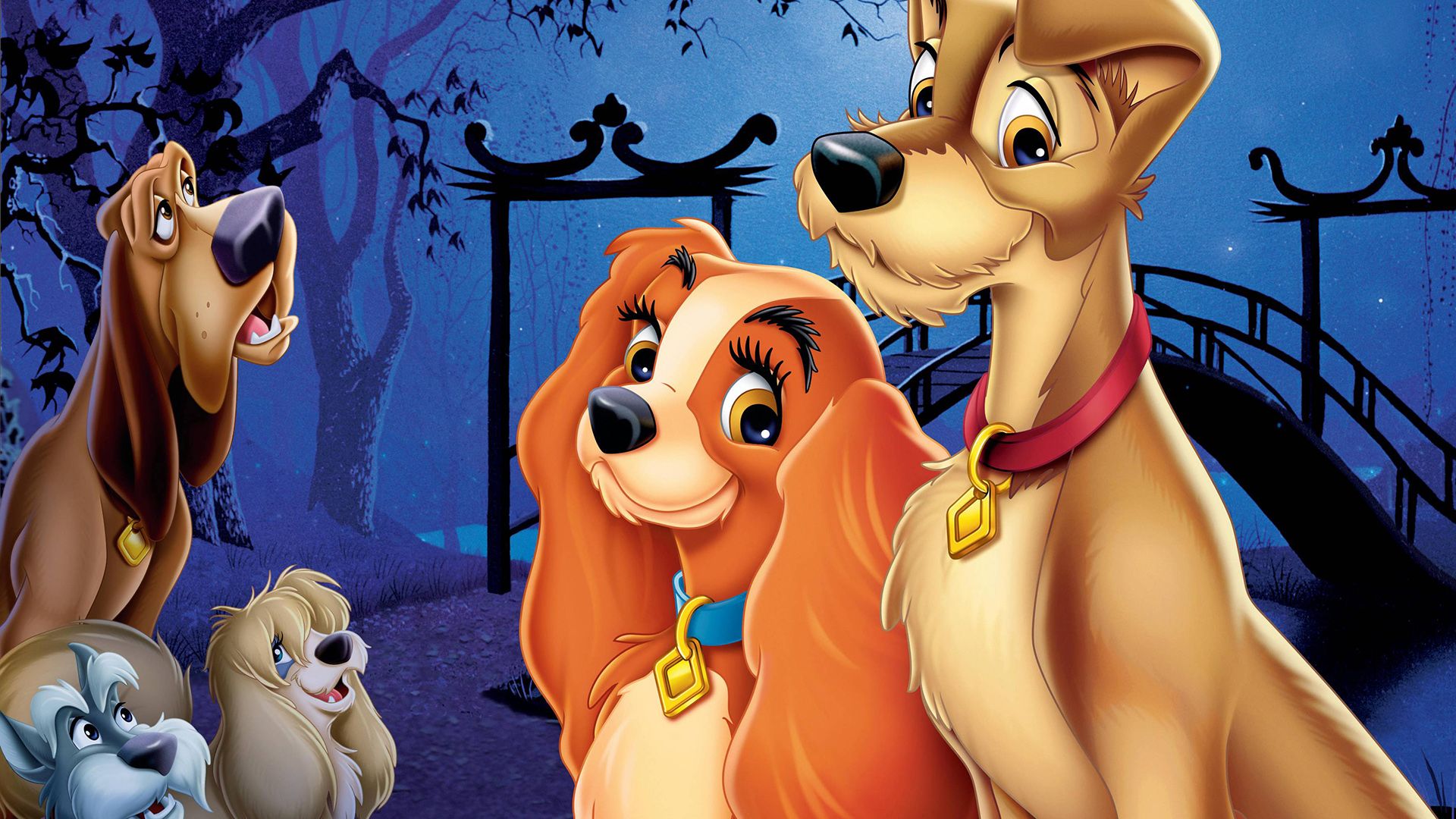 Lady and the Tramp background