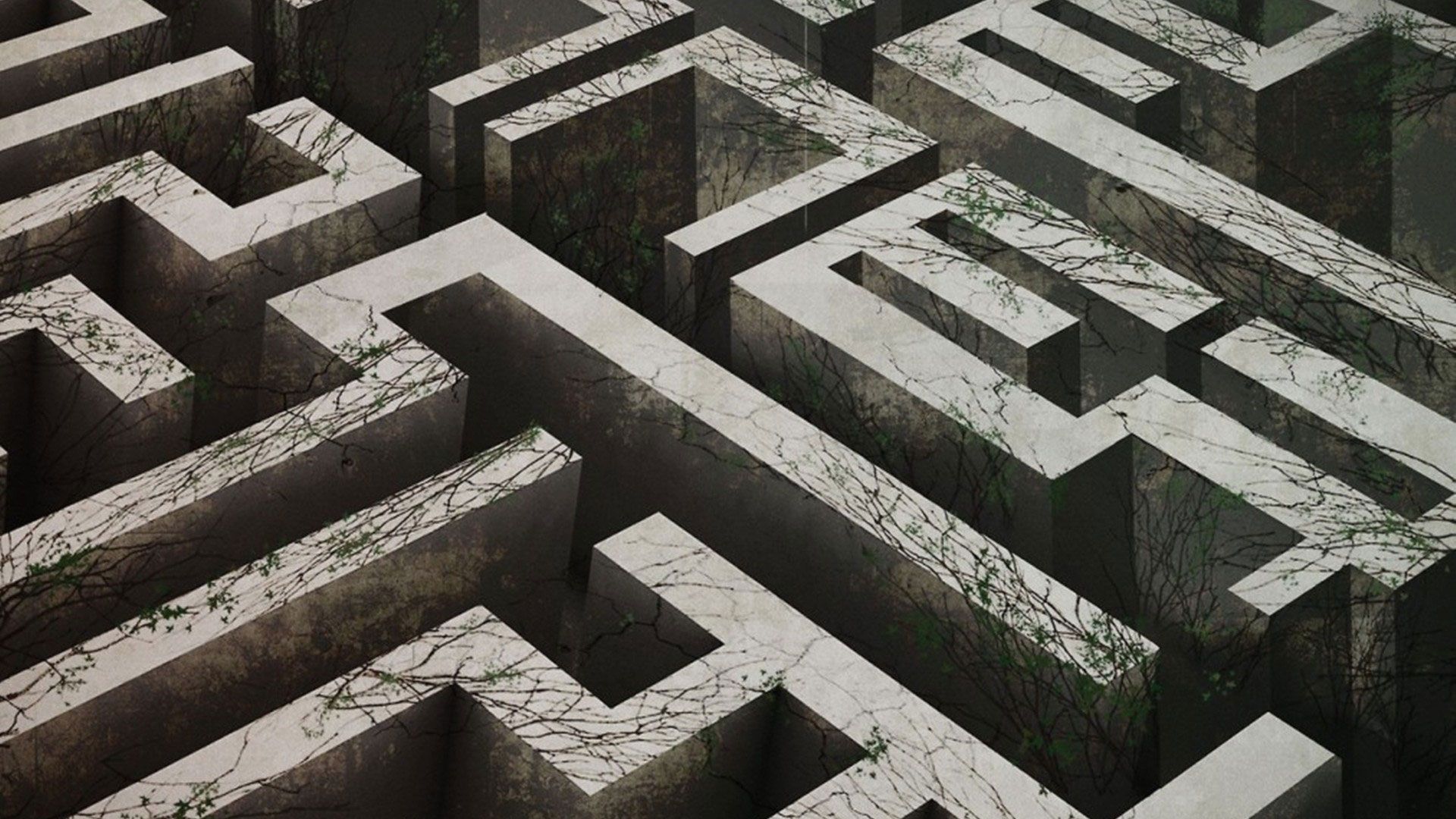 The Maze Runner background