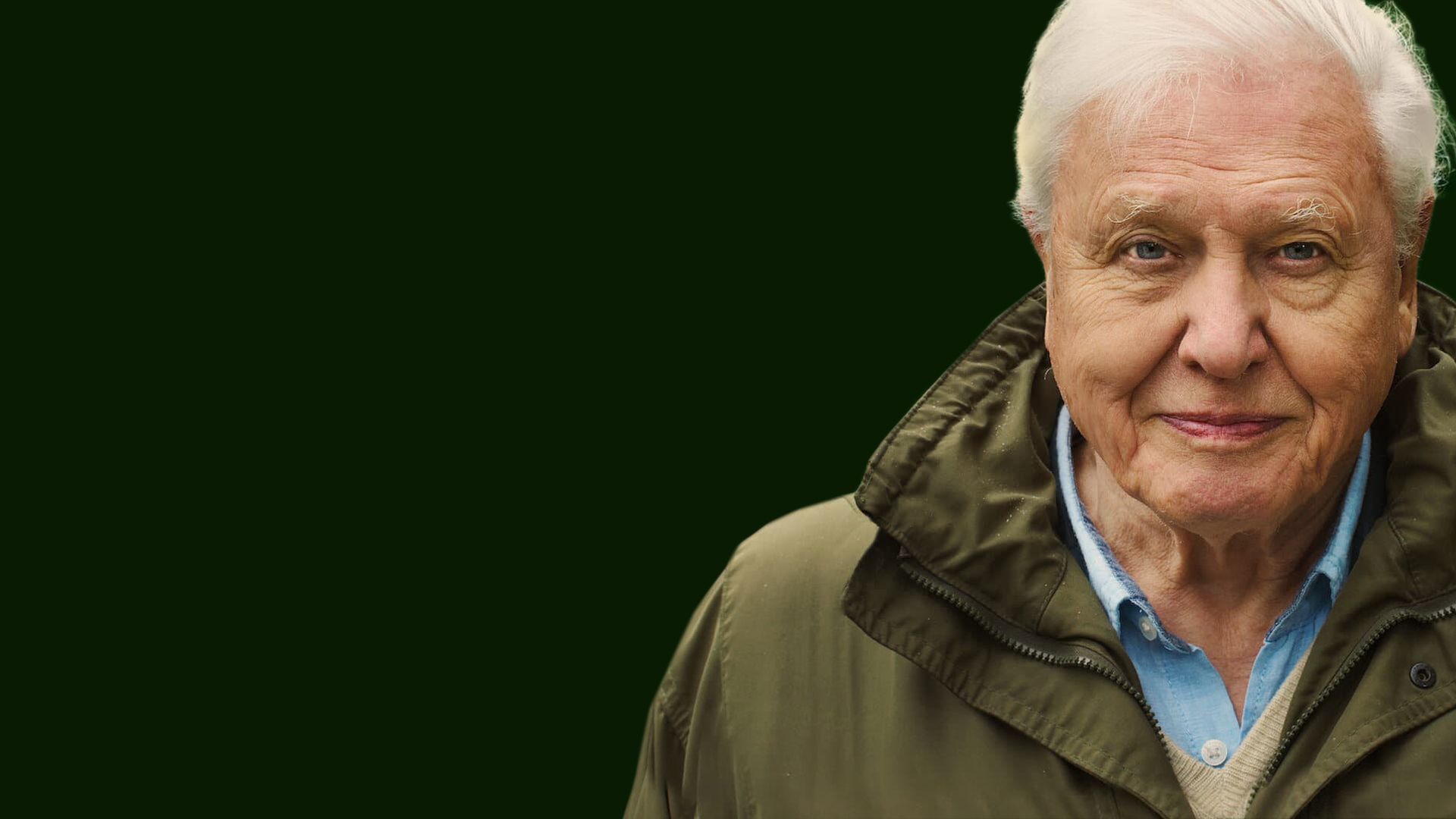 David Attenborough: A Life on Our Planet background