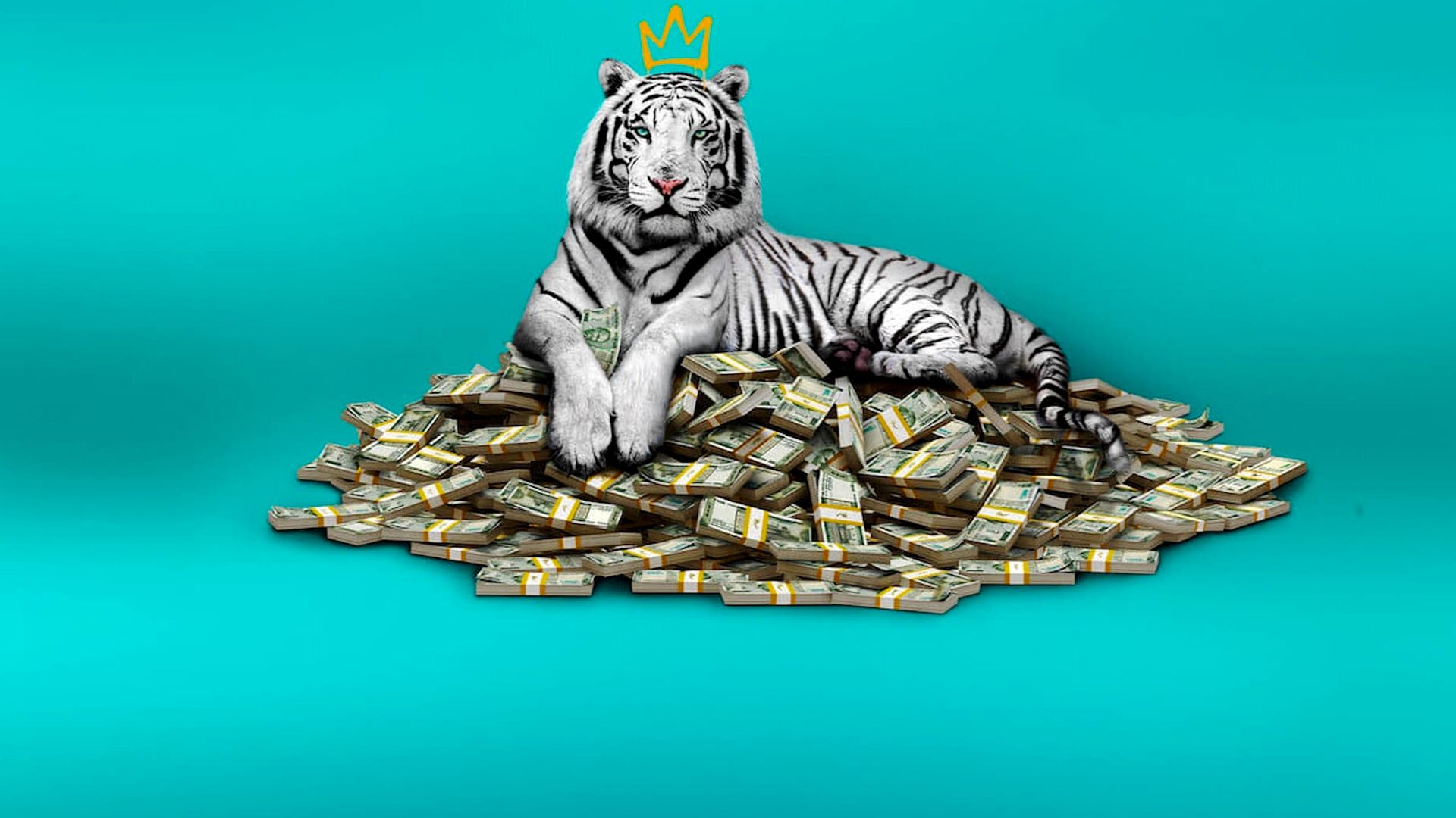 The White Tiger background