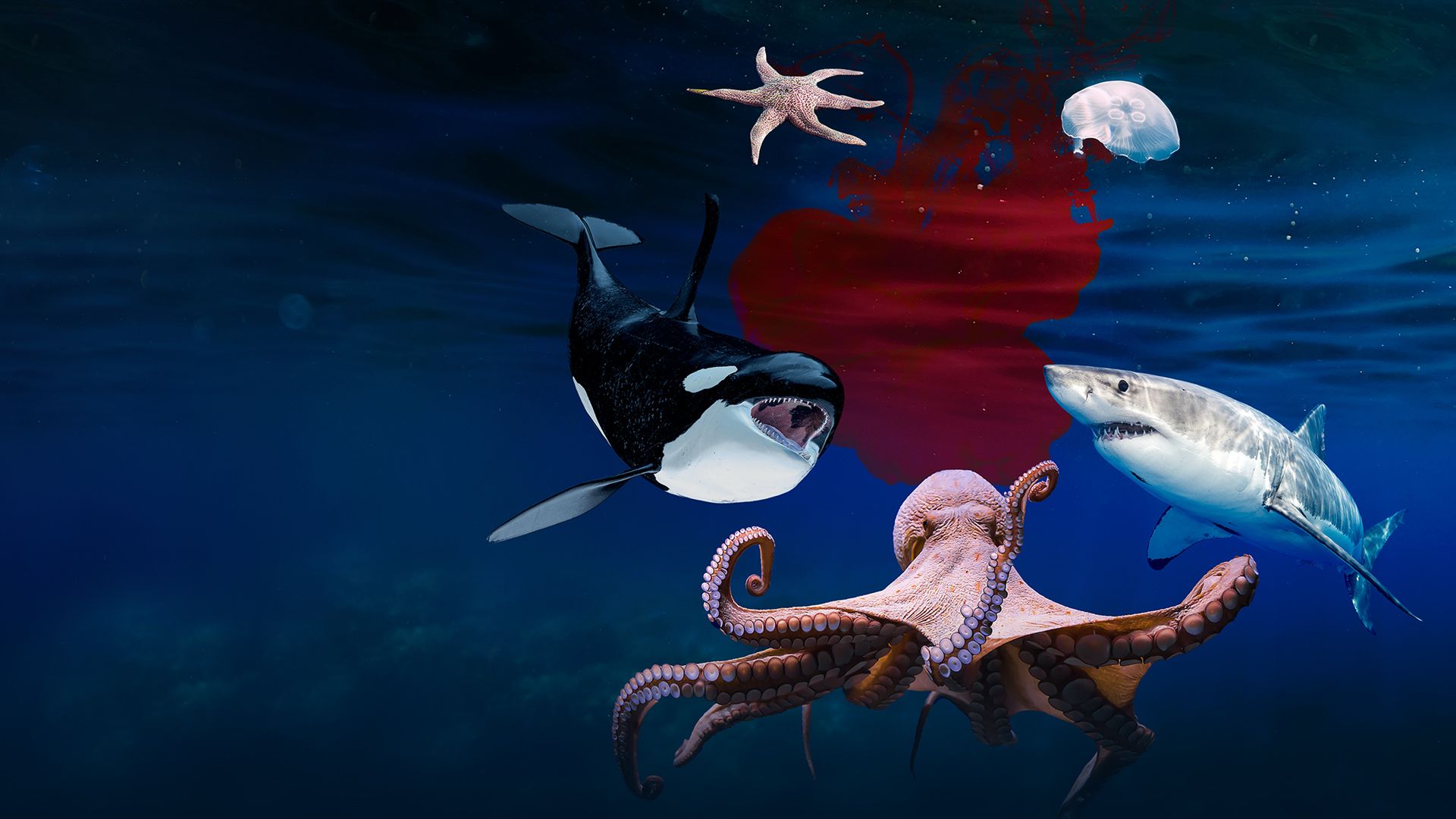 Deep Sea Killers background