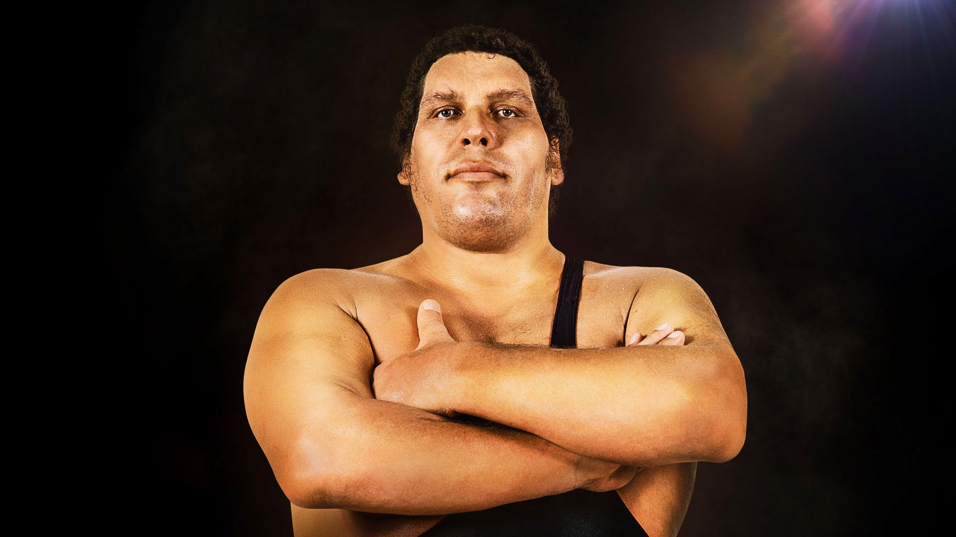 Andre the Giant background