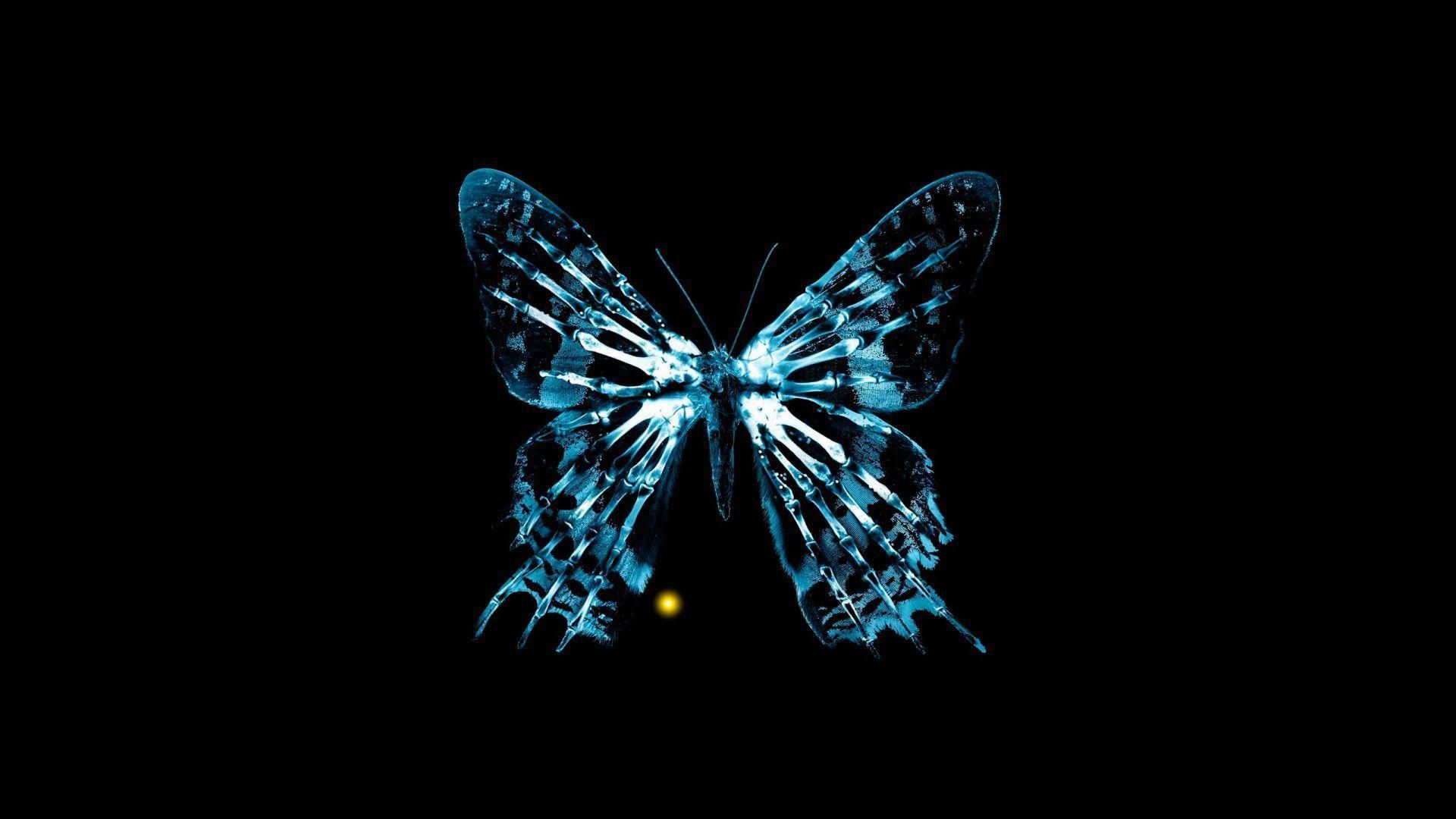 The Butterfly Effect 3: Revelations background