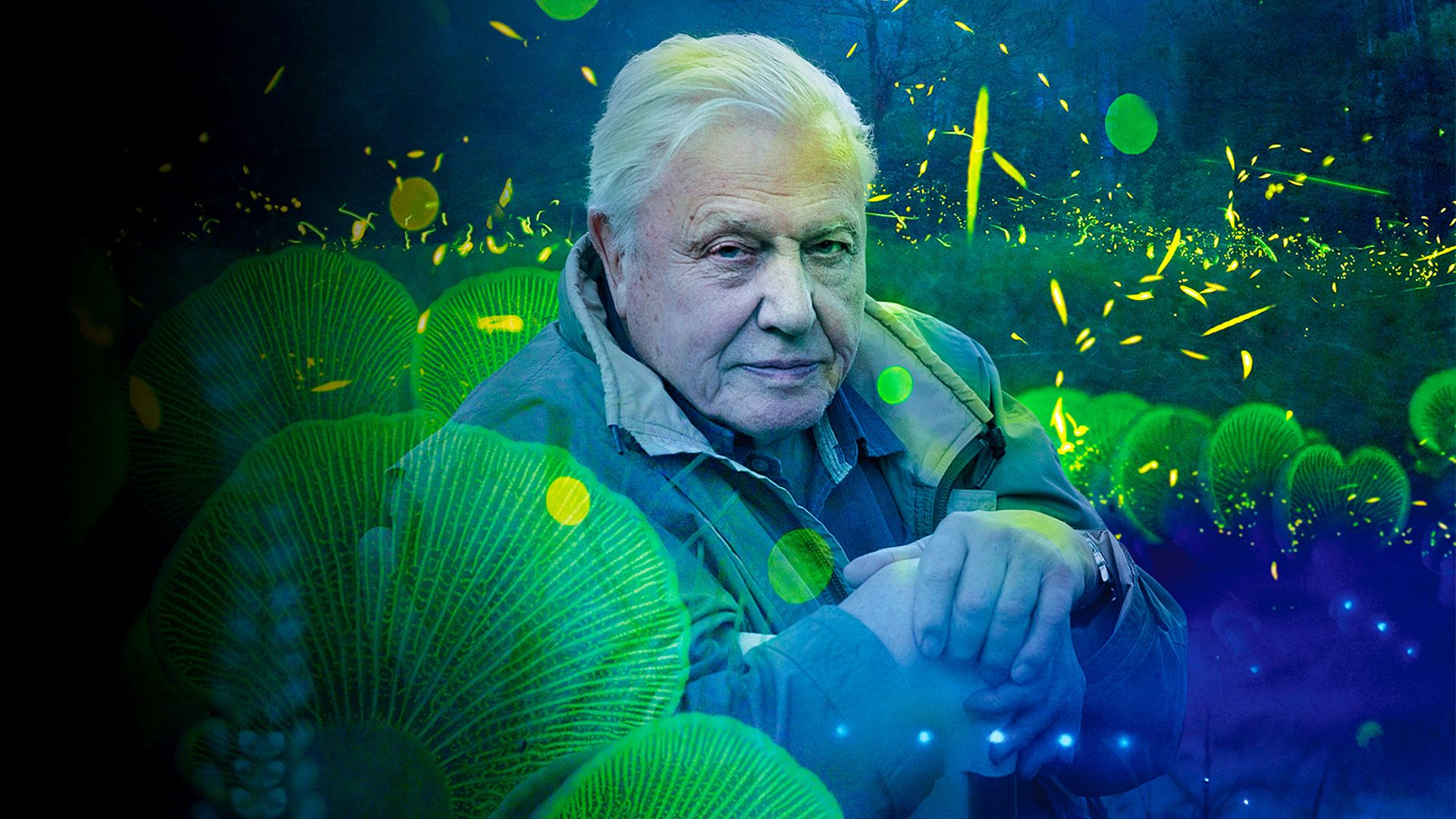 Attenborough's Life That Glows background