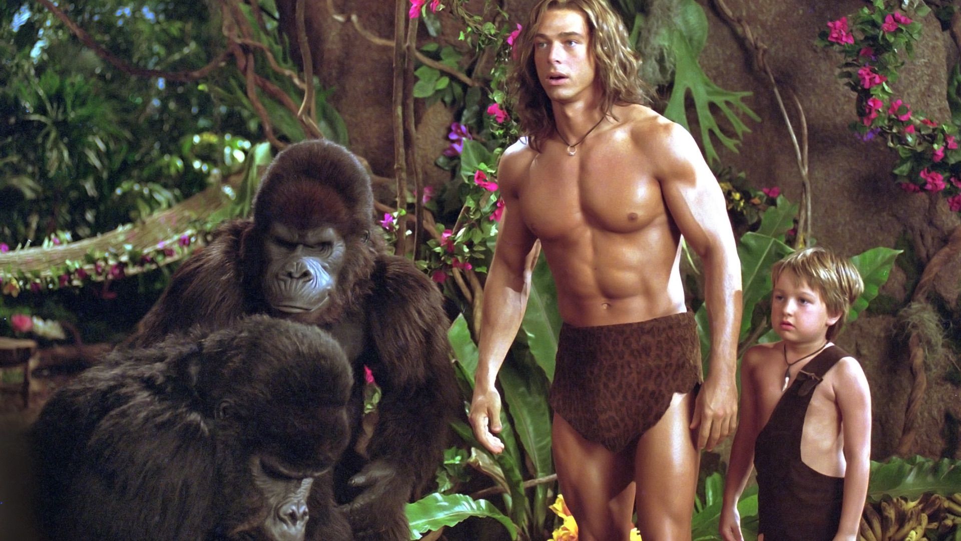 George of the Jungle 2 background
