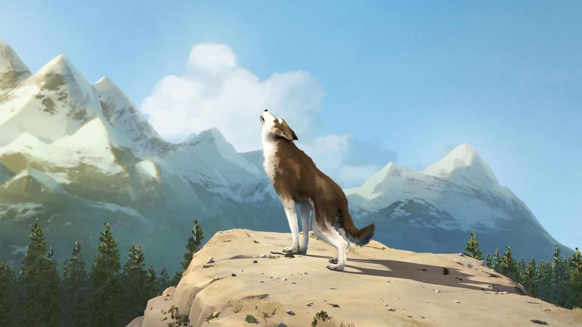 White Fang background