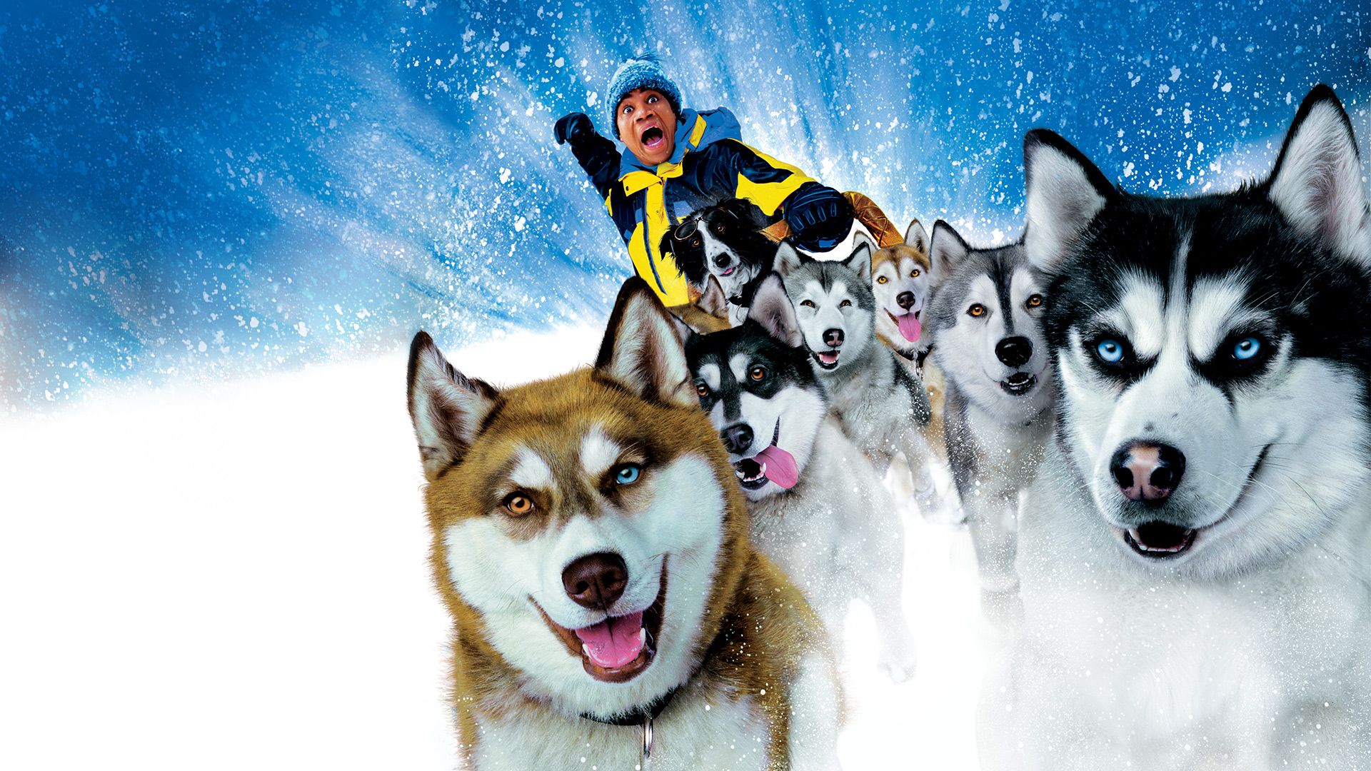 Snow Dogs background