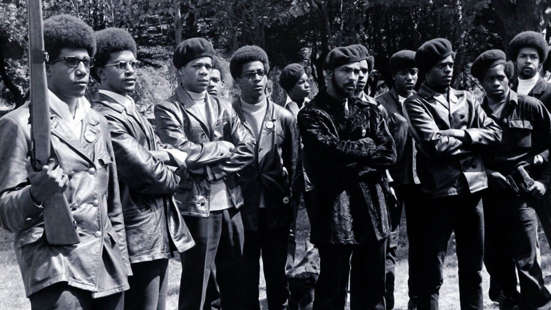The Black Panthers: Vanguard of the Revolution background