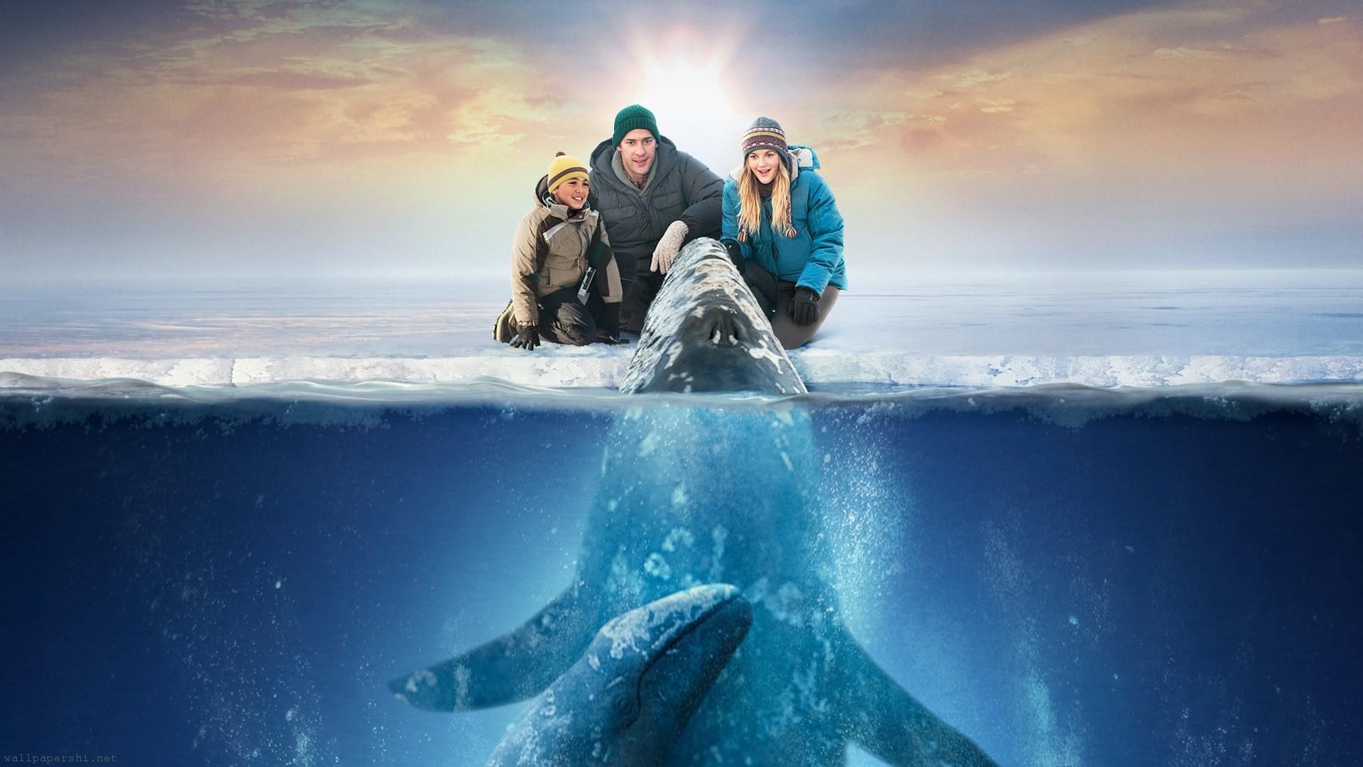 Big Miracle background