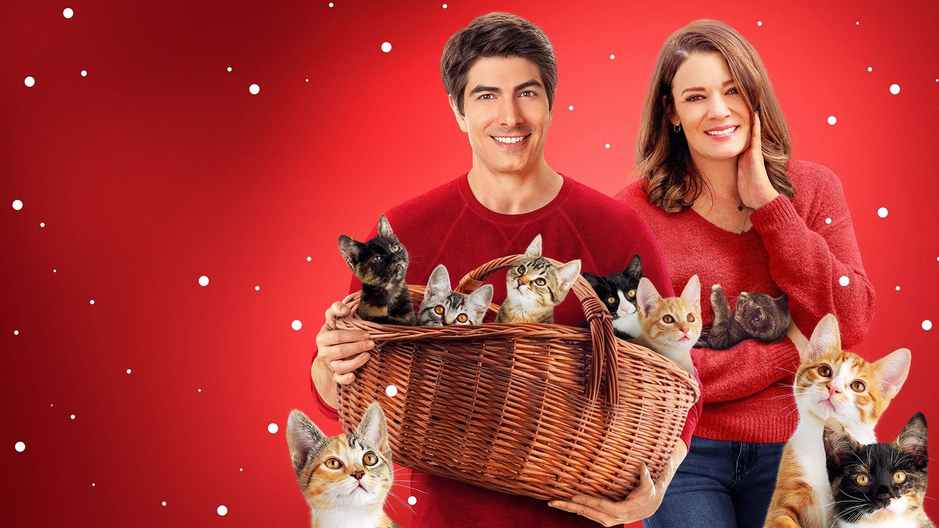 The Nine Kittens of Christmas background