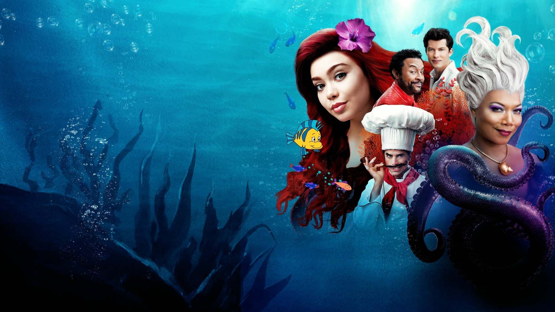 The Little Mermaid Live! background