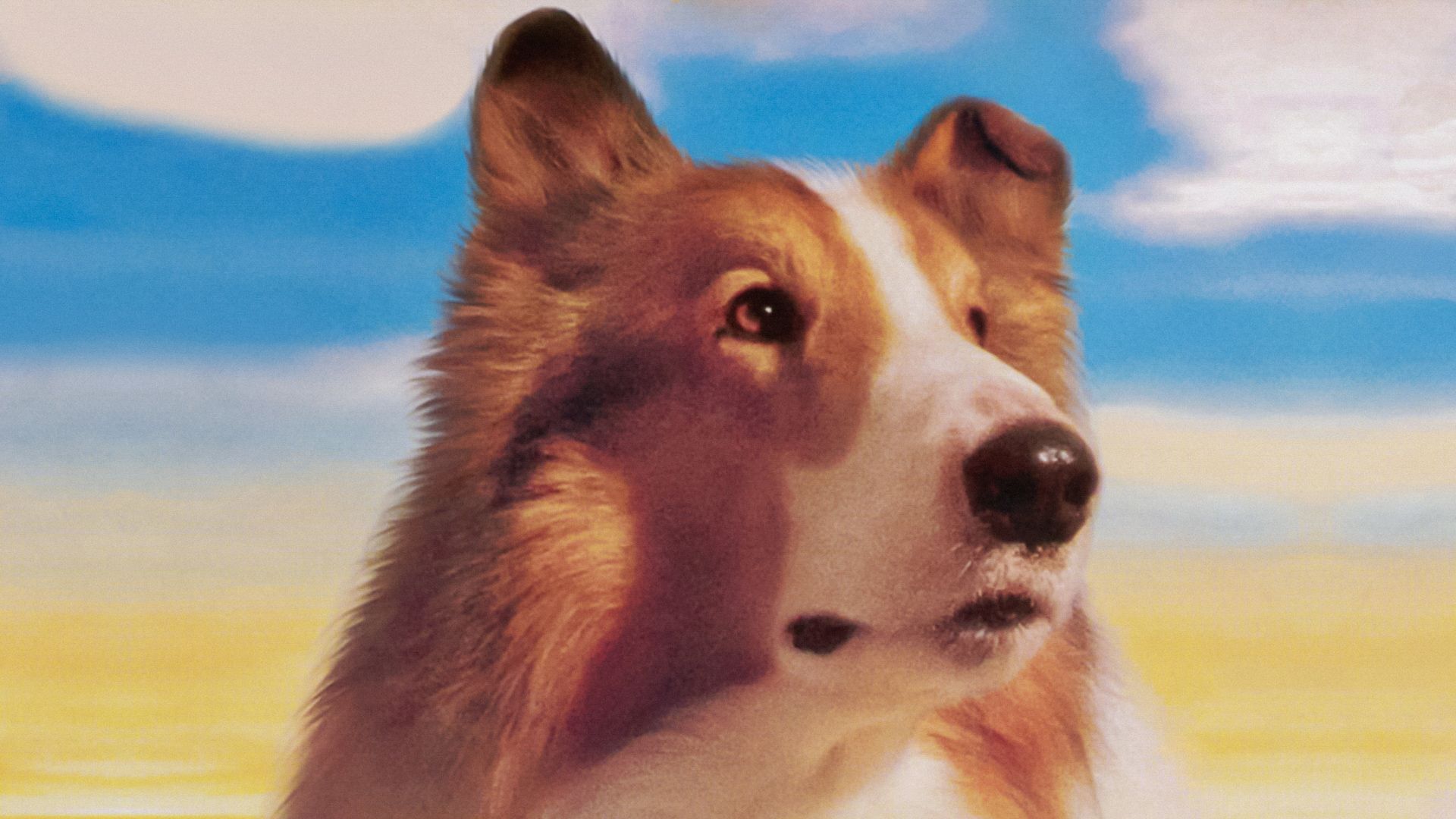 Lassie background