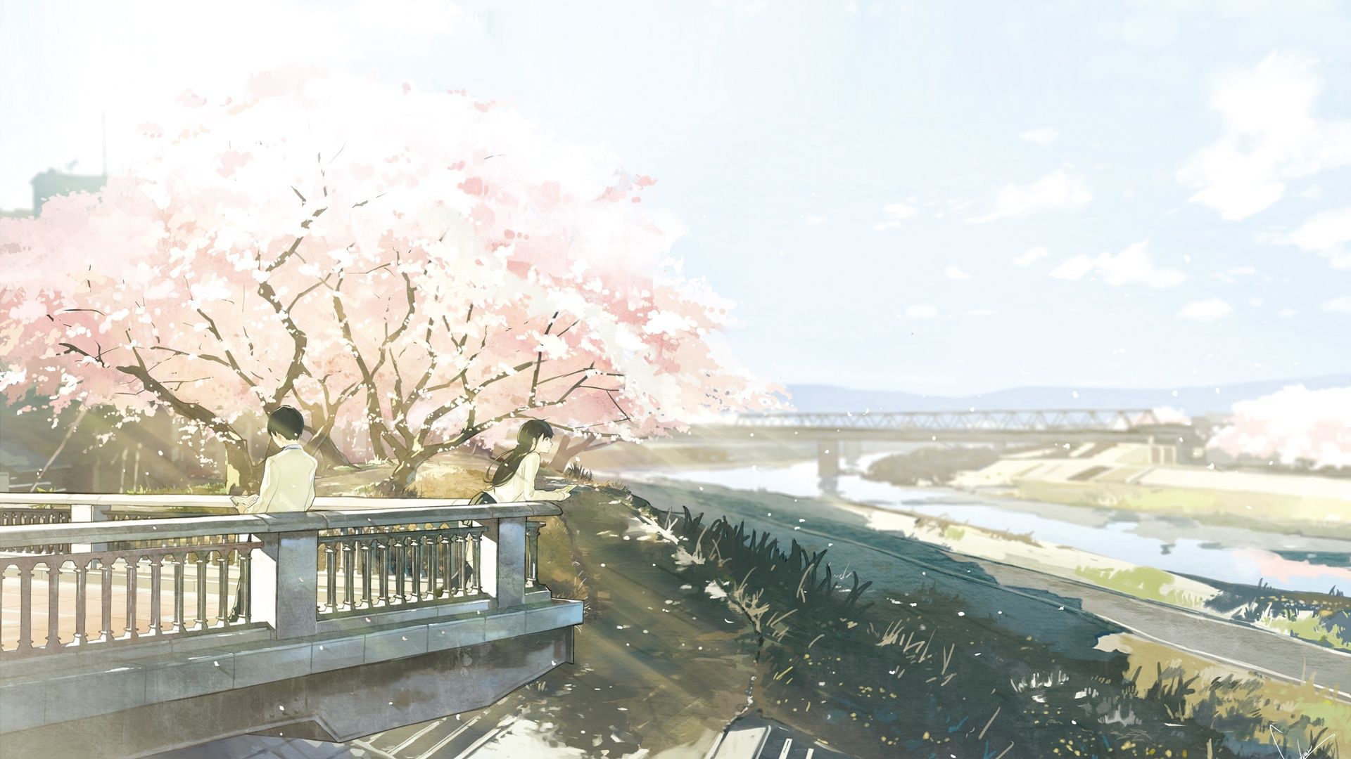 I Want to Eat Your Pancreas background