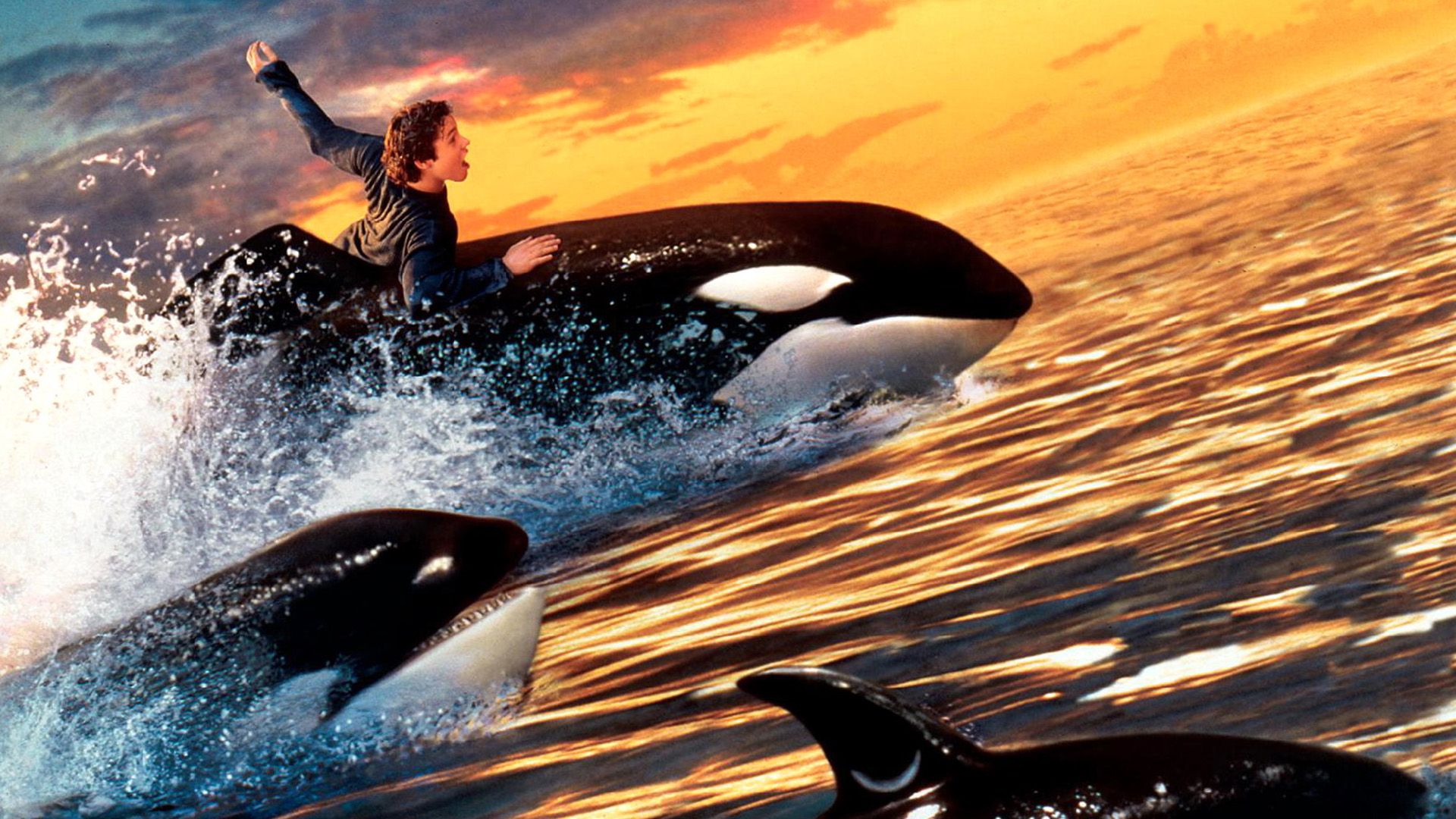Free Willy 2: The Adventure Home background