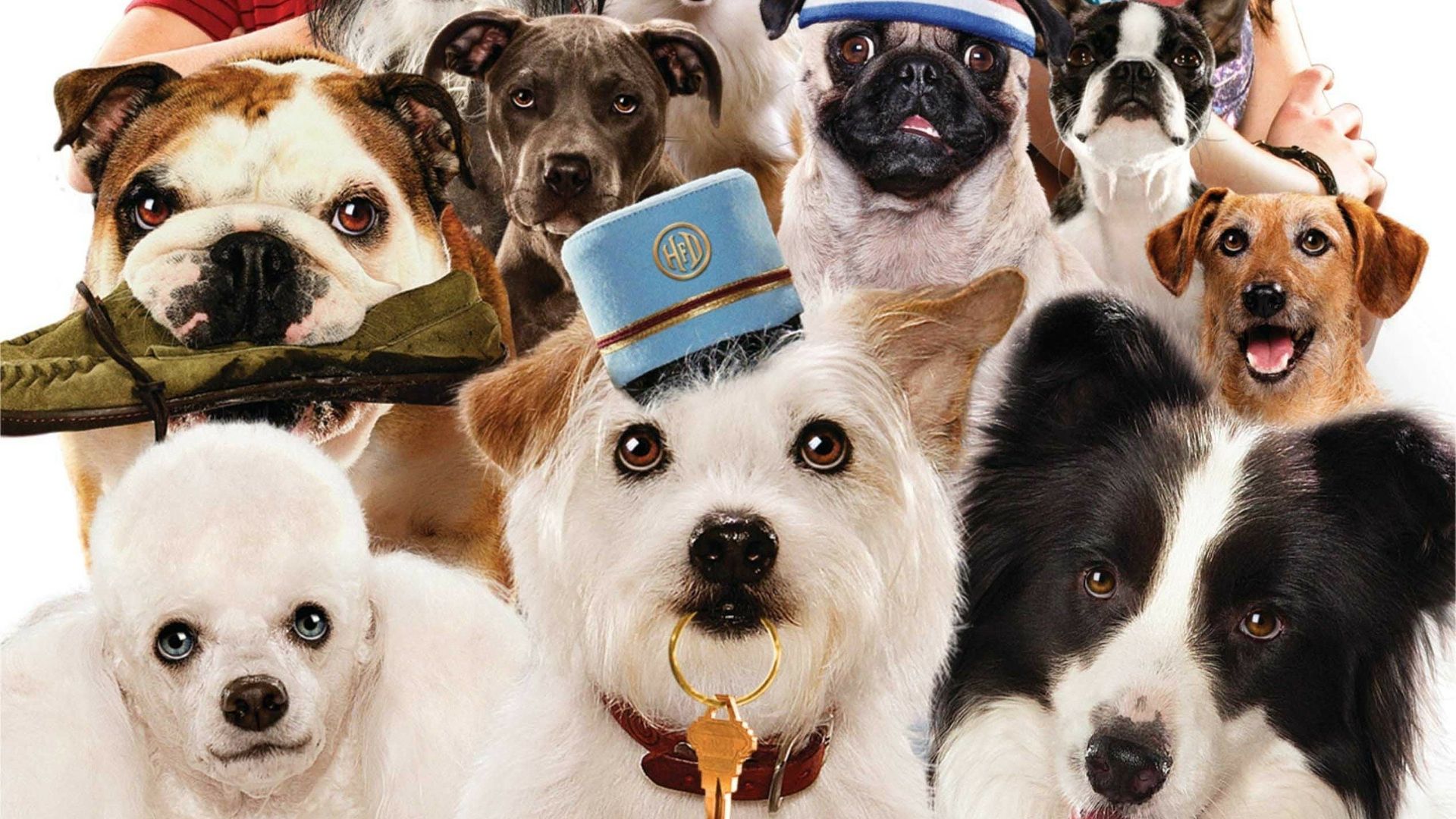 Hotel for Dogs background