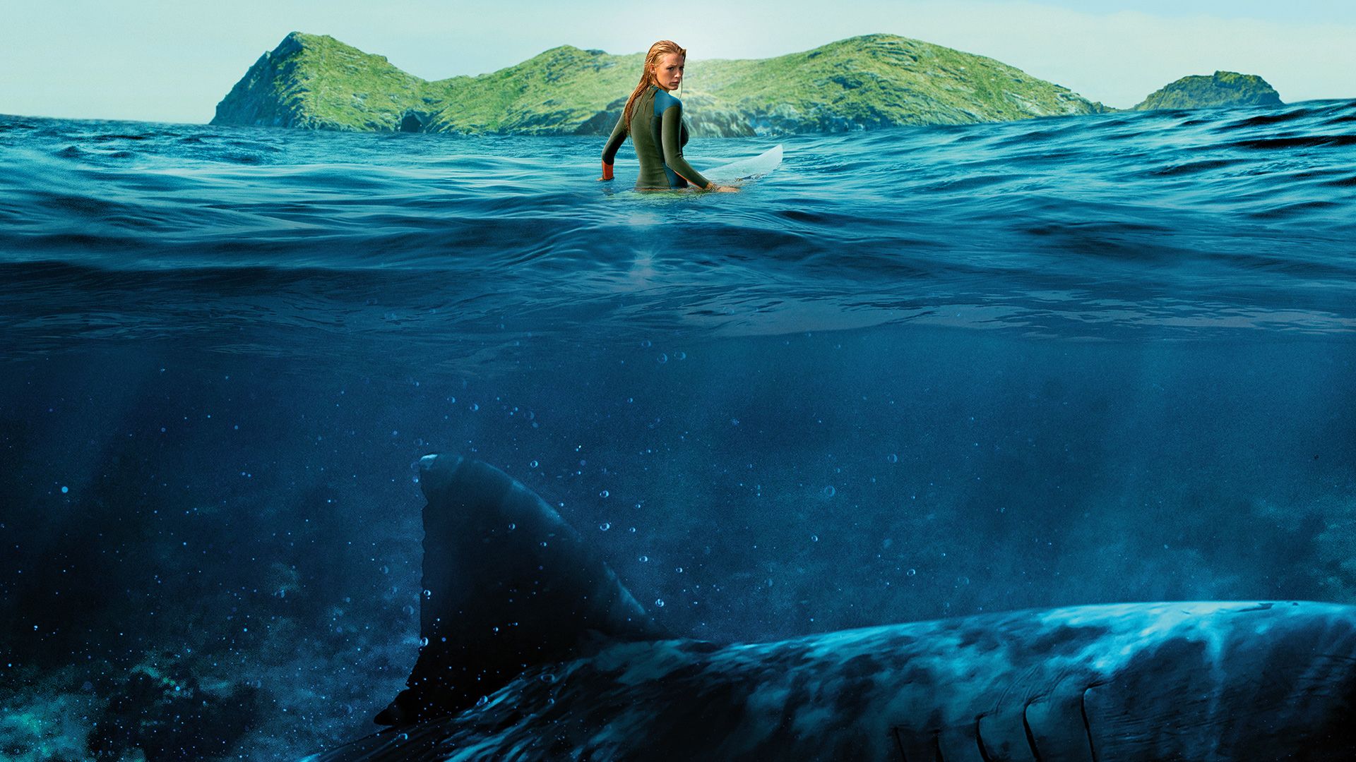 The Shallows background